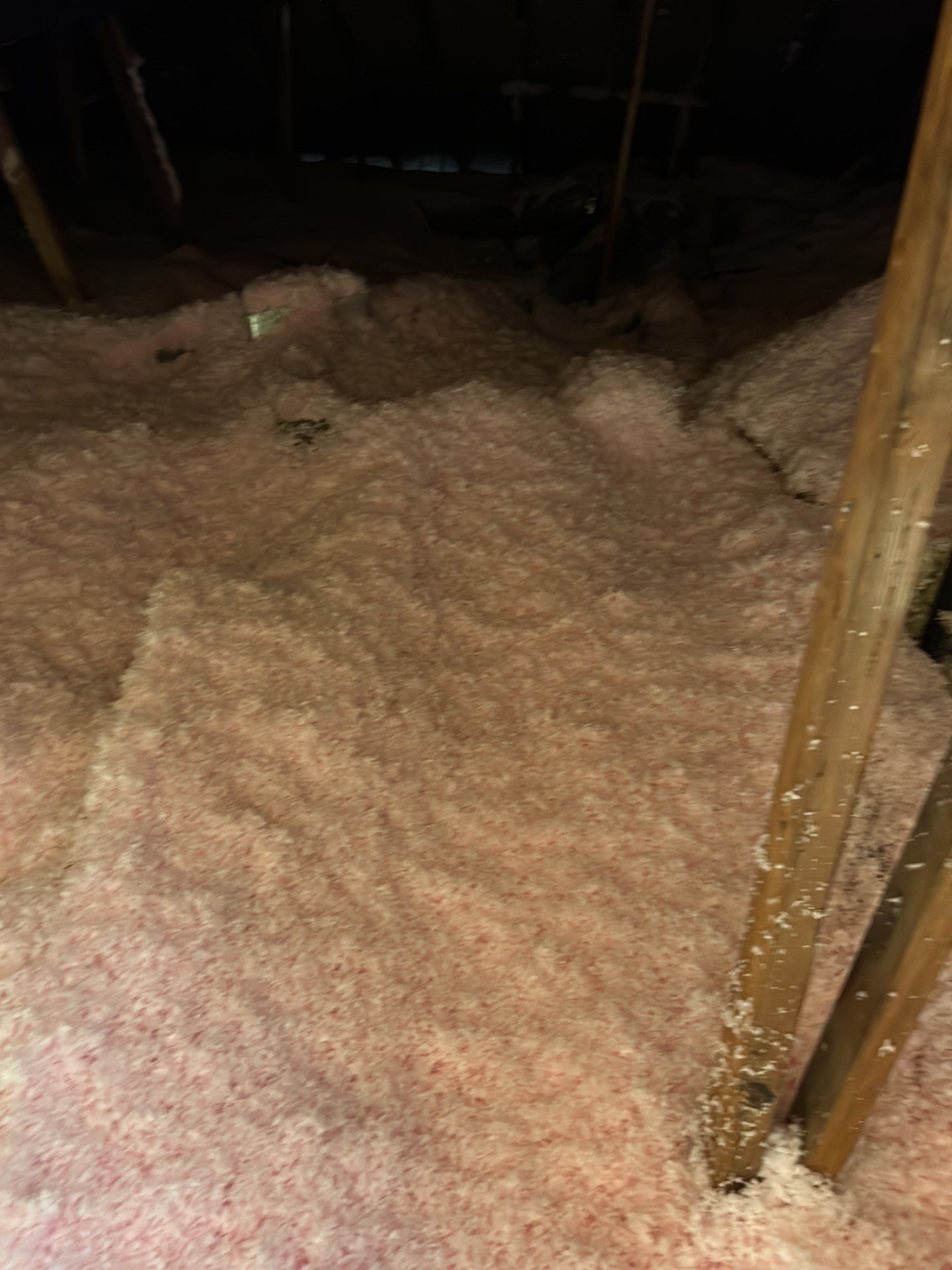 Investor Rental Make-Ready 1 by JTX Pro Services LLC