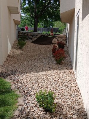 Landscape Renovation in Saint Louis Park