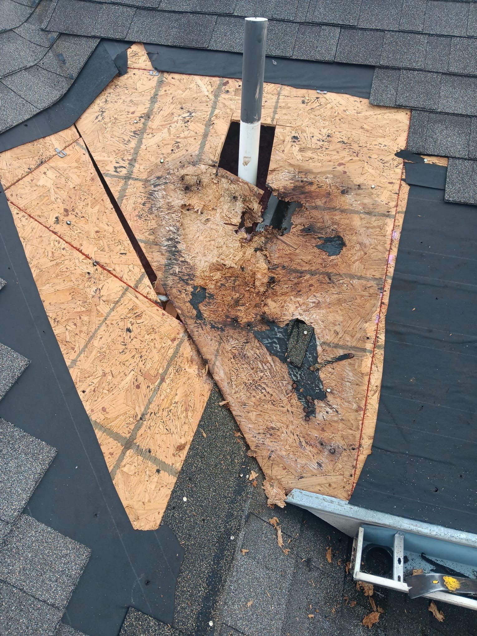 Roof Repair Spring by Roof Repair Company