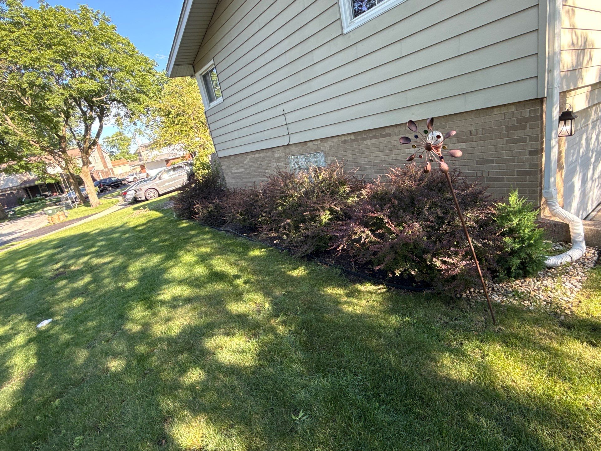Amy N. - Arlington Heights, IL by A&N 