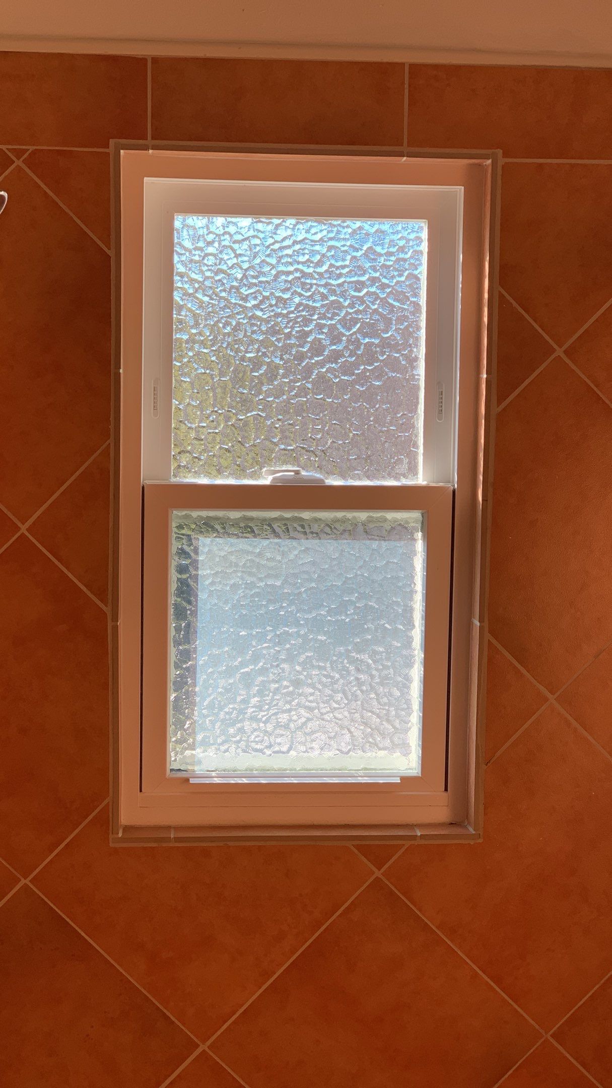 Reka Kiss Listing -1521 D Street Hayward by SpotFree Window Cleaning