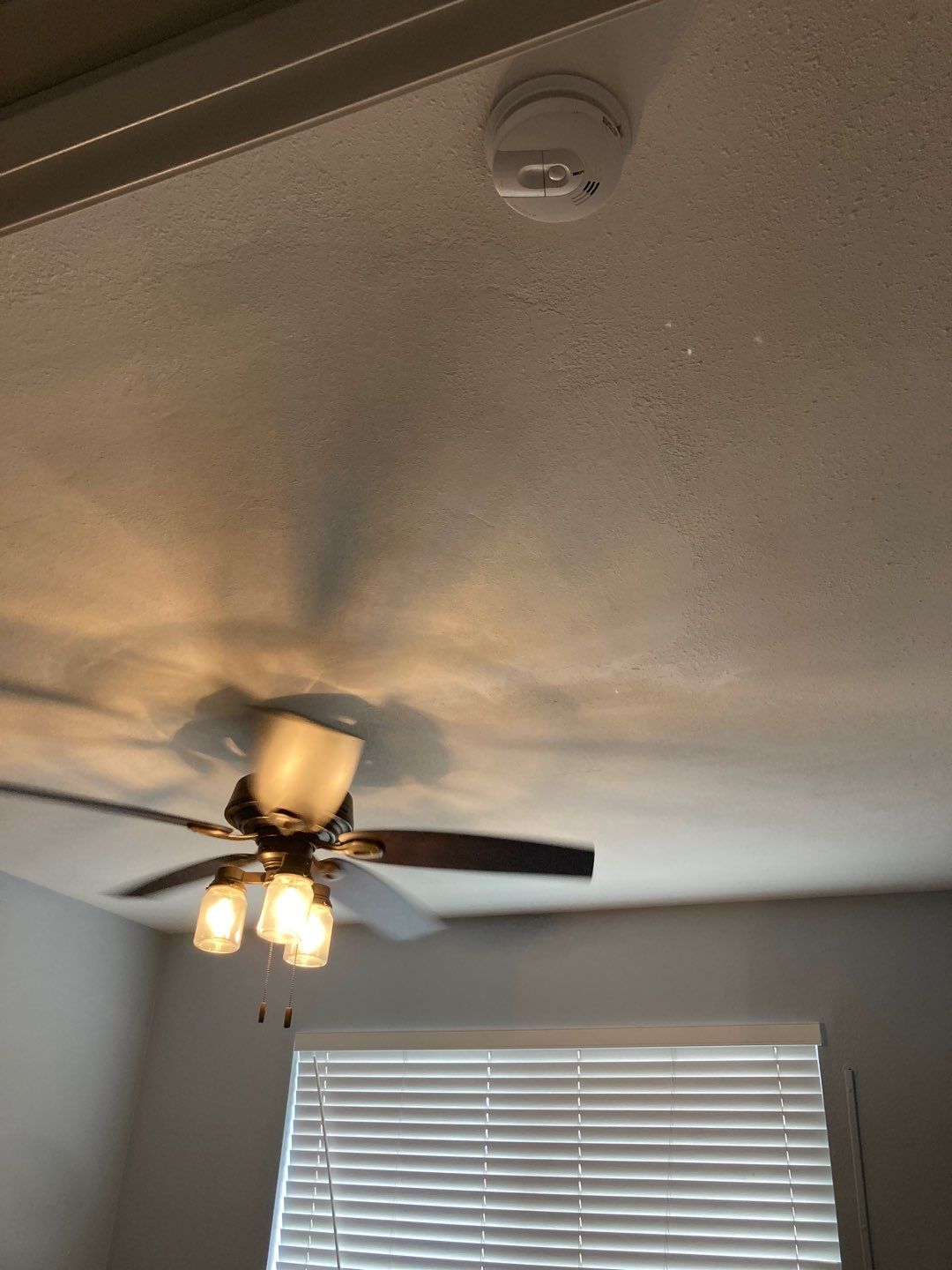 Large Ceiling Drywall Repair by Andre Handyman