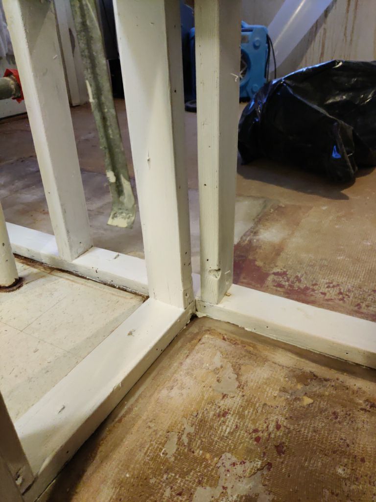 Mold Remediation in Basement by Accountable Home Services