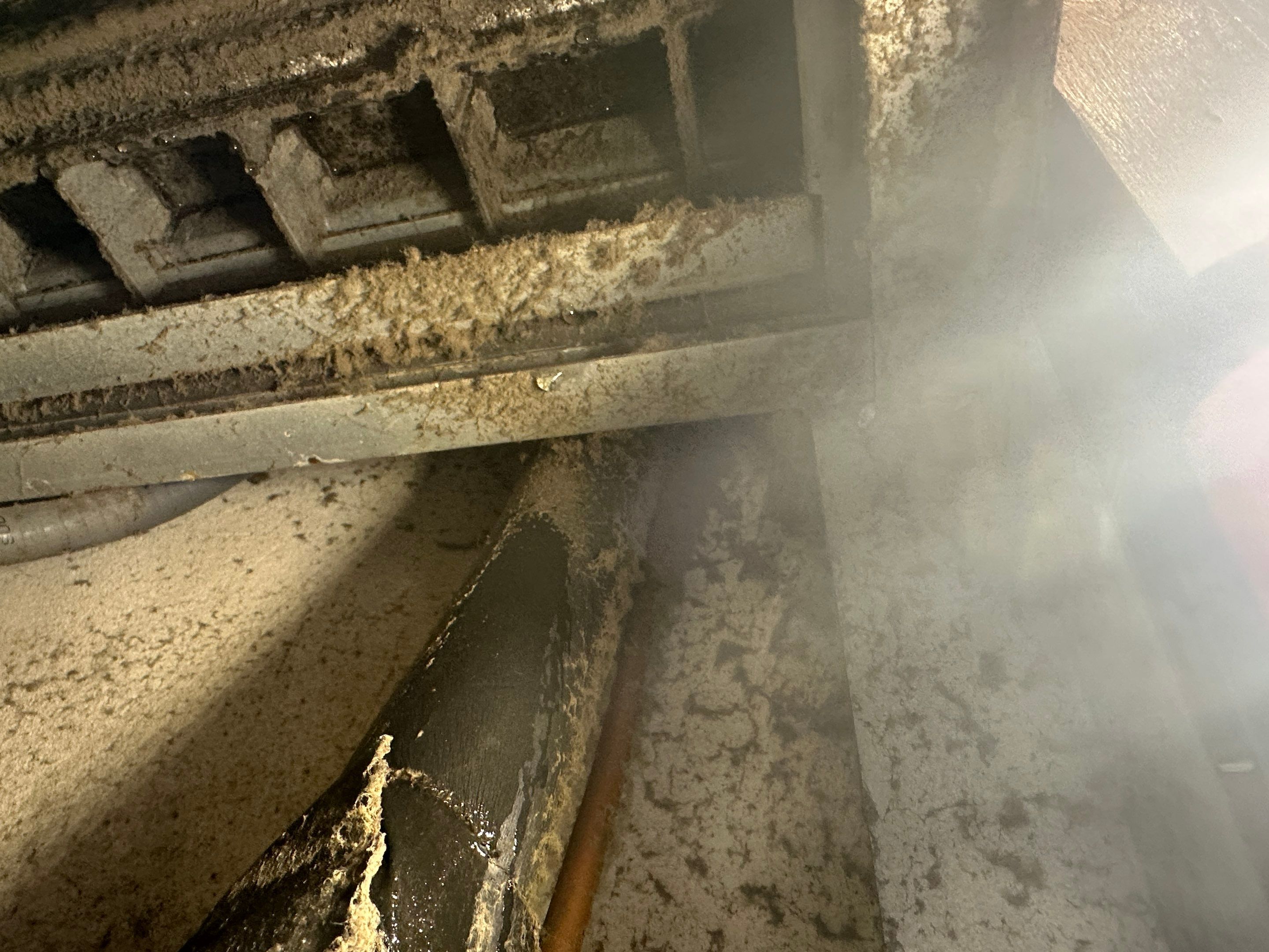 Water Damage Claim in North Miami Beach by FLAPA & KeyStone