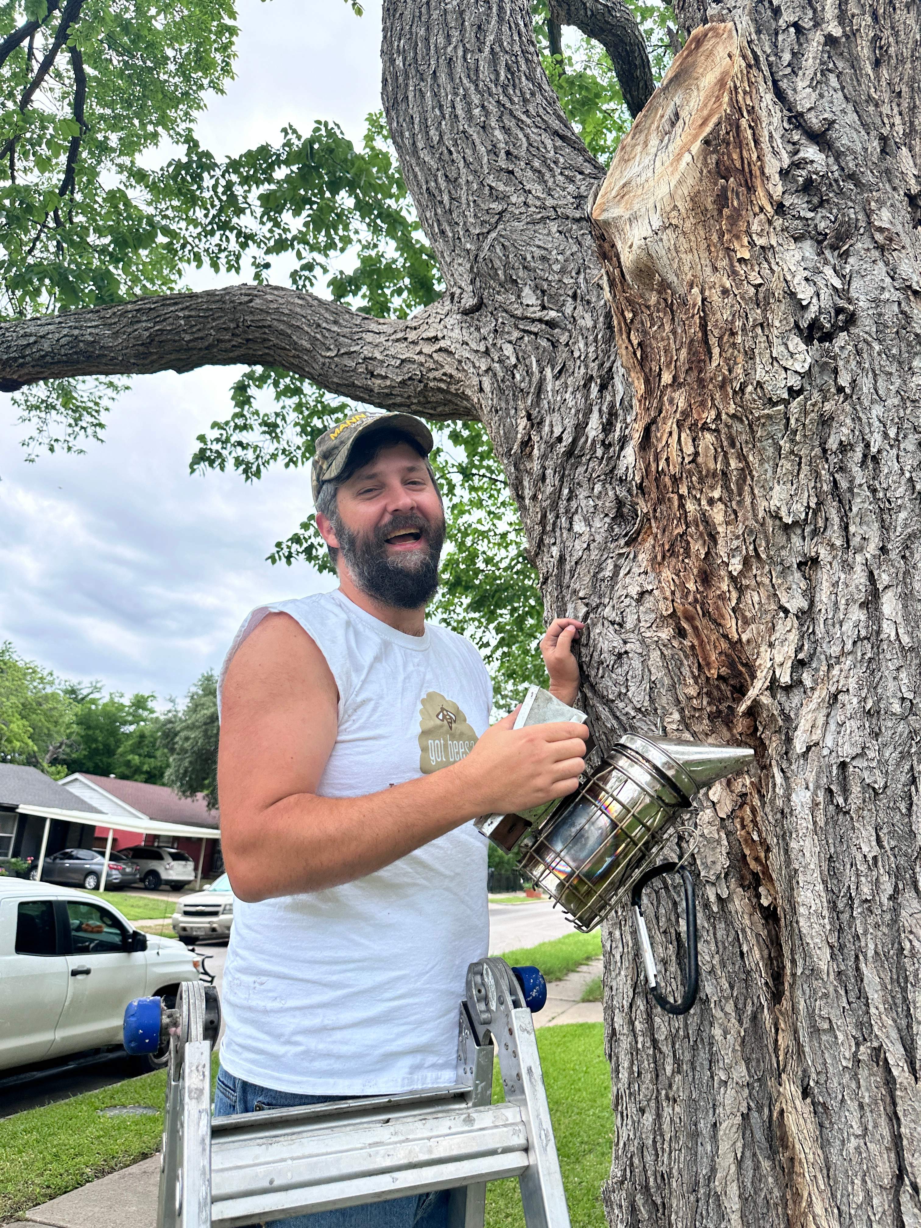 Tree Bees by Rockwall Honey Bee Company
