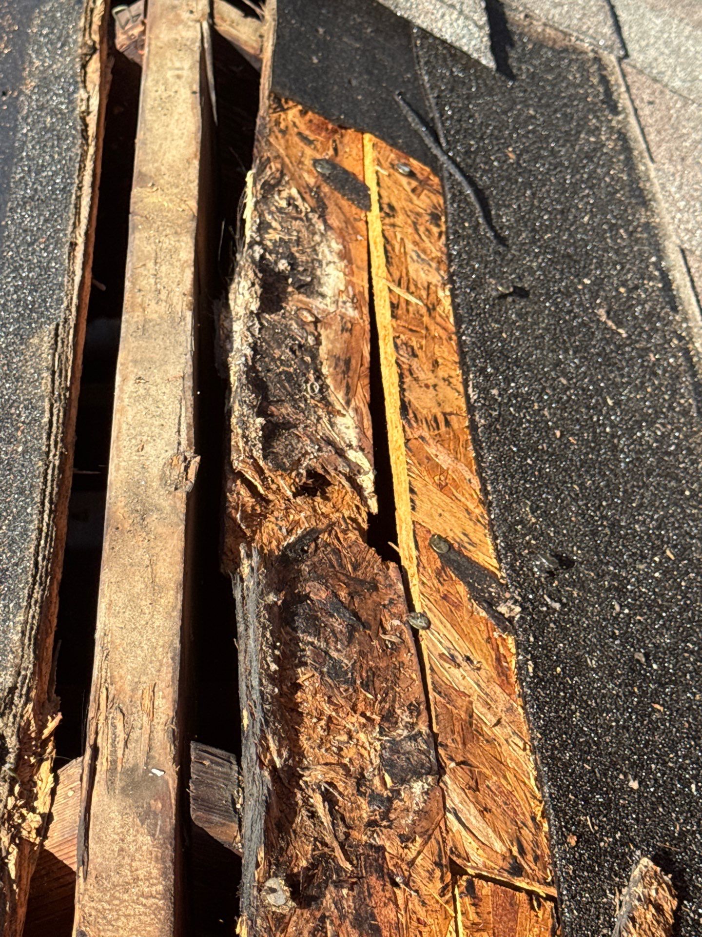 Roof Repair Spring by Roof Repair Company