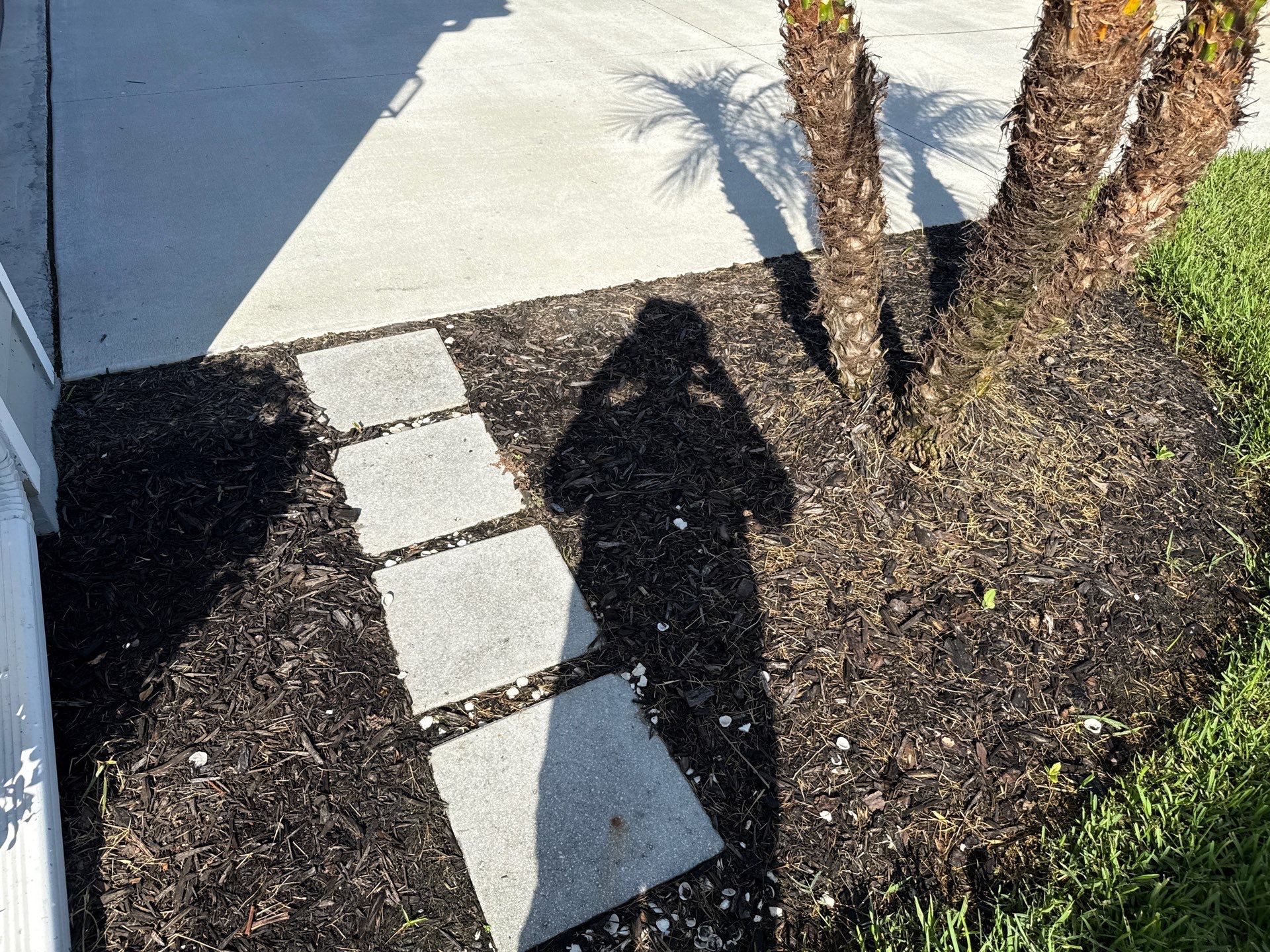 Concrete Driveway & Sidewalk Cleaning — Canoe Creek Community, Parrish, FL by Sunshine AquaWash