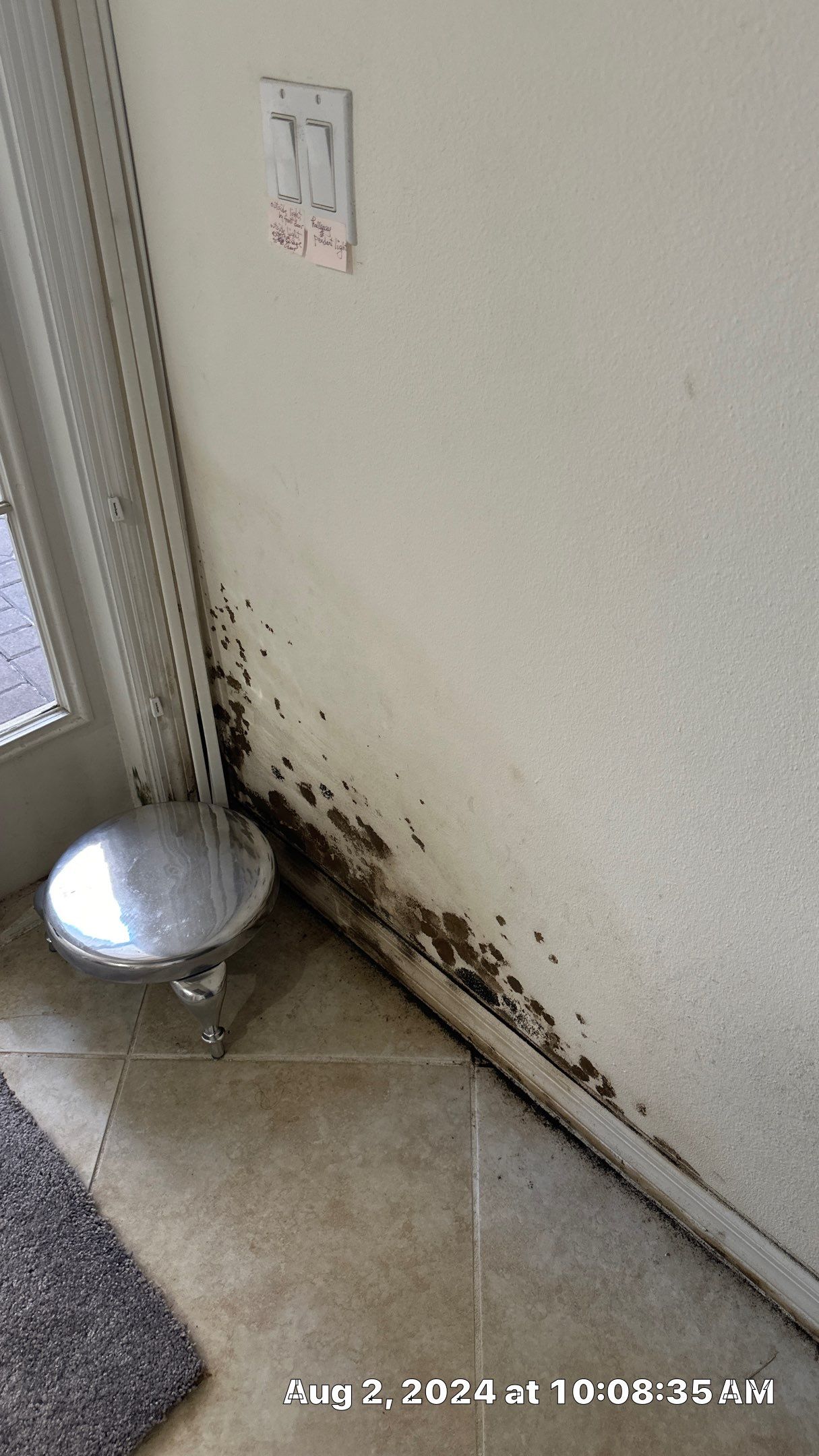 Mold Assessment using IR Camera, Moisture Meter, Air Cassette samples and Tape lifts by Building performance Solutions LLC