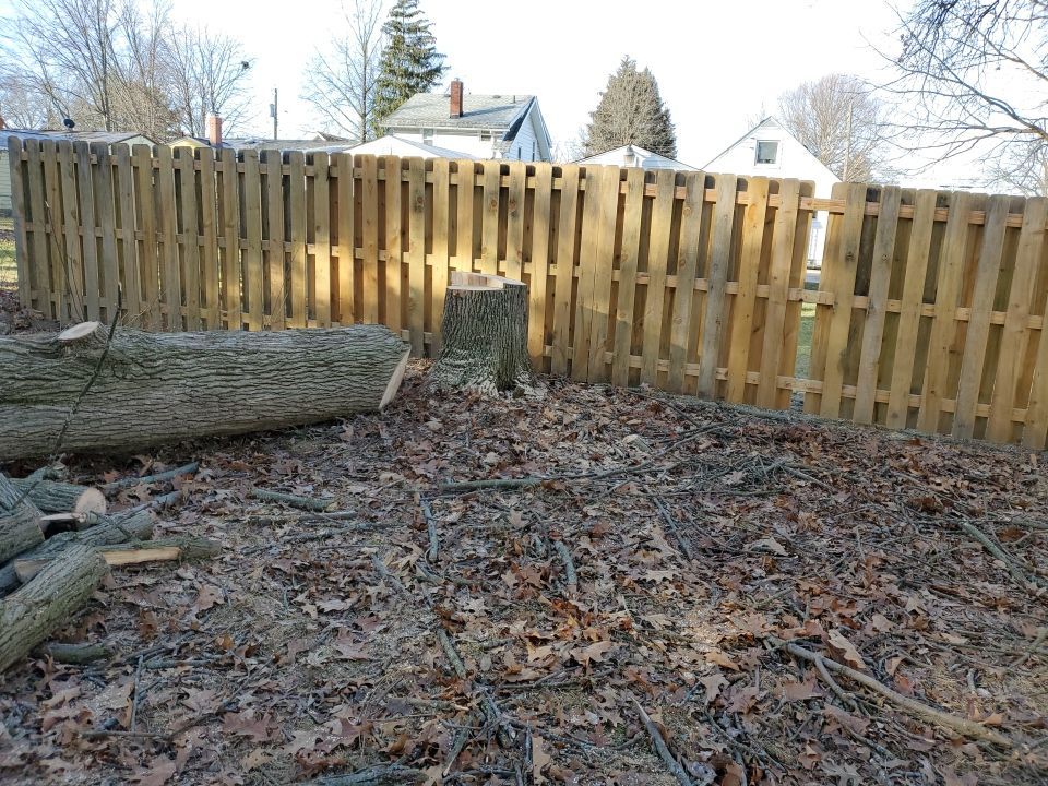 Tree Removal using Tree Removal by Mike Jones & Sons Tree Service LLC 