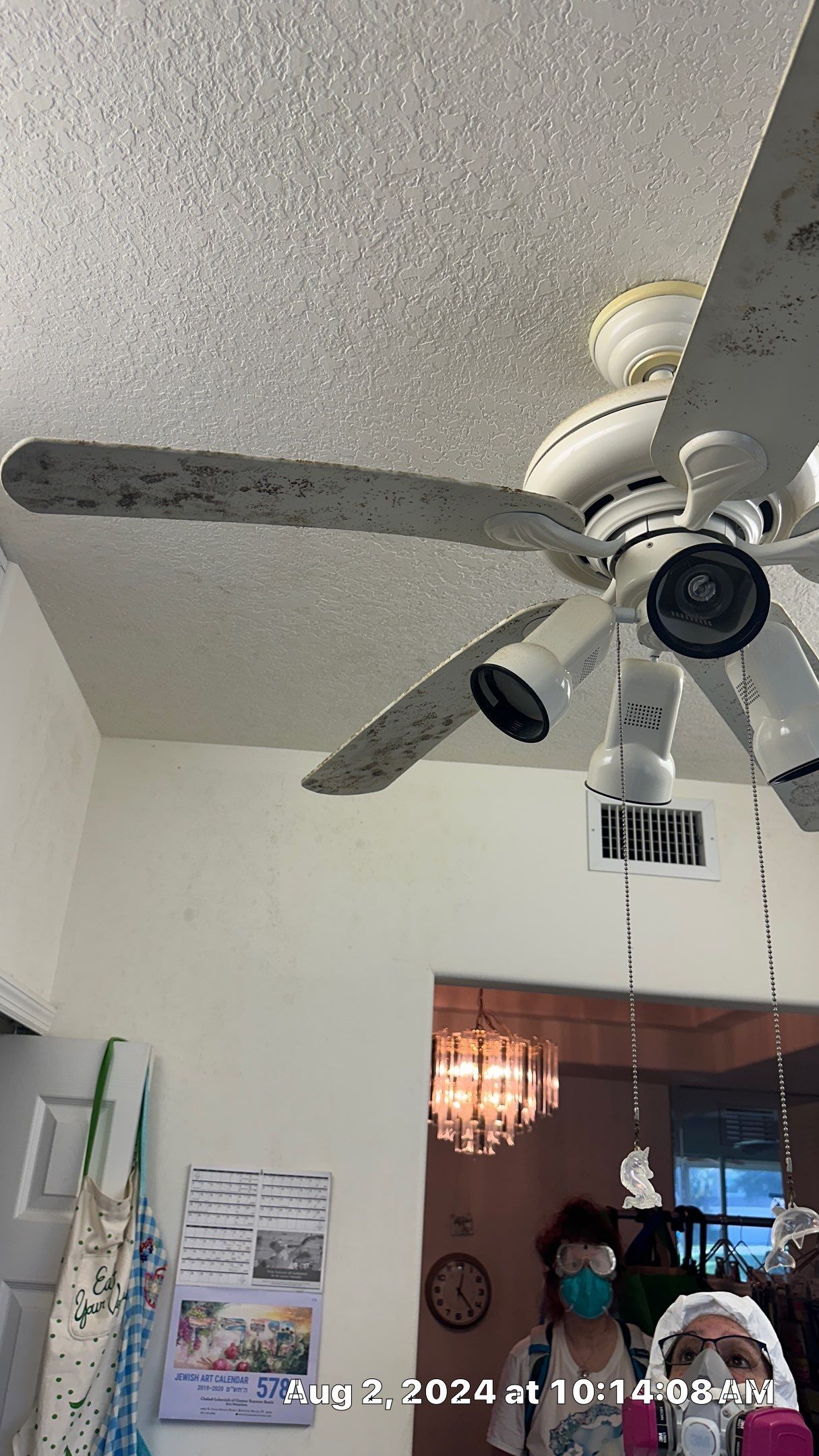 Mold Assessment using IR Camera, Moisture Meter, Air Cassette samples and Tape lifts by Building performance Solutions LLC