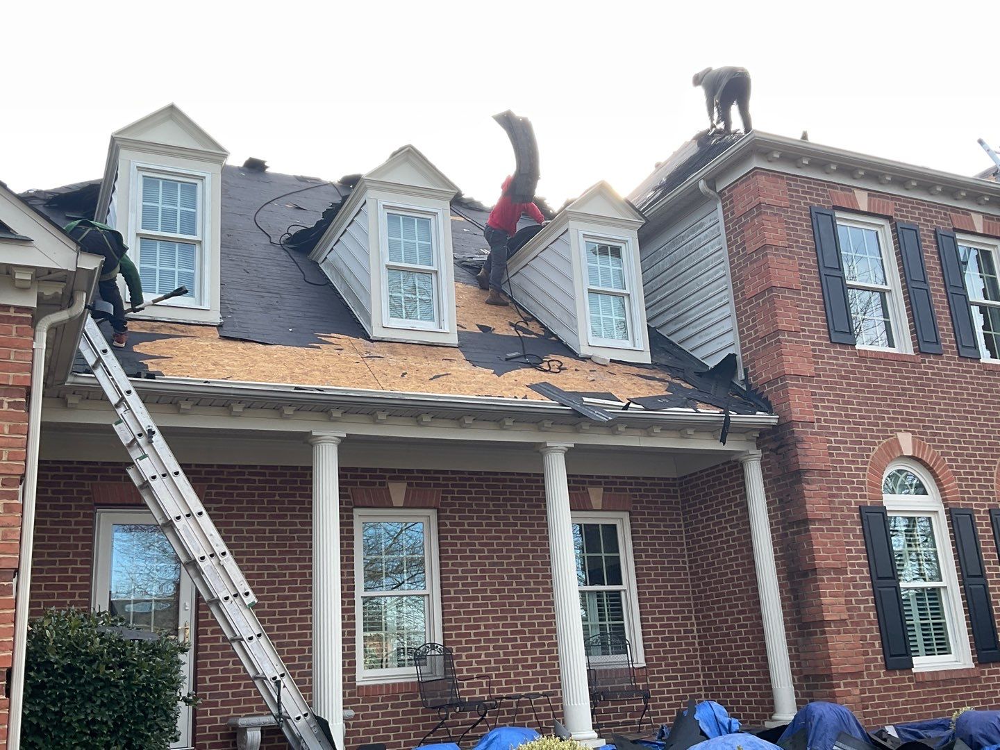 New Roof Installation & New Gutters and downspouts  by Alpha Design Services