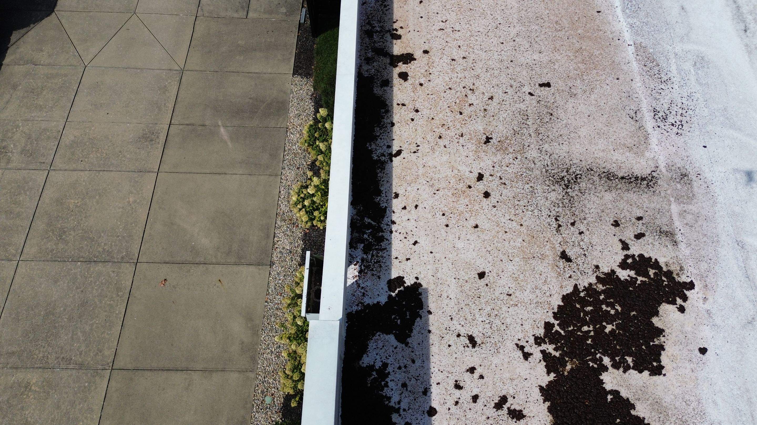 2610 Broadway St • Indianapolis, IN 46205 by 317 Roofing & Restorations