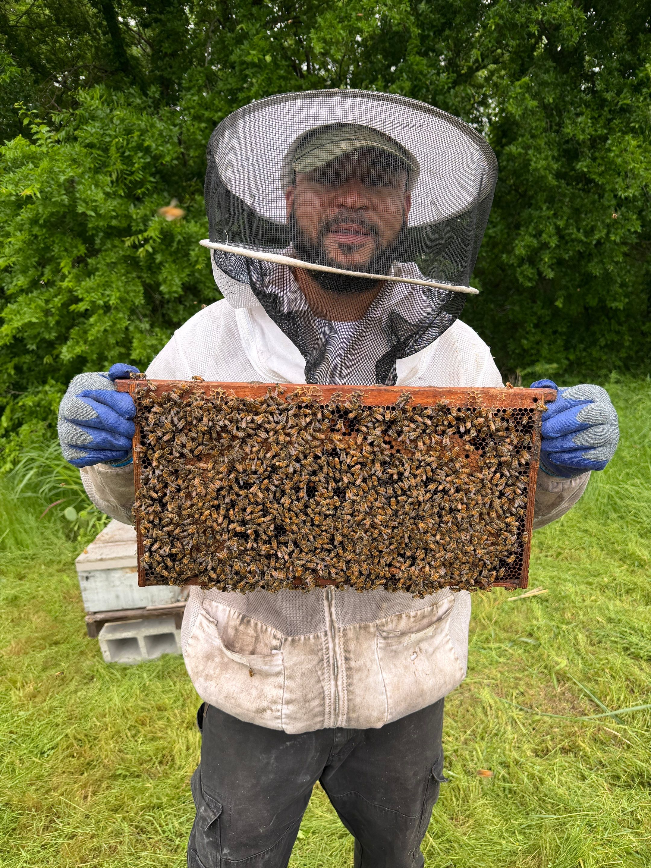 Special Use Valuation in McClendon-Chisolm by Rockwall Honey Bee Company
