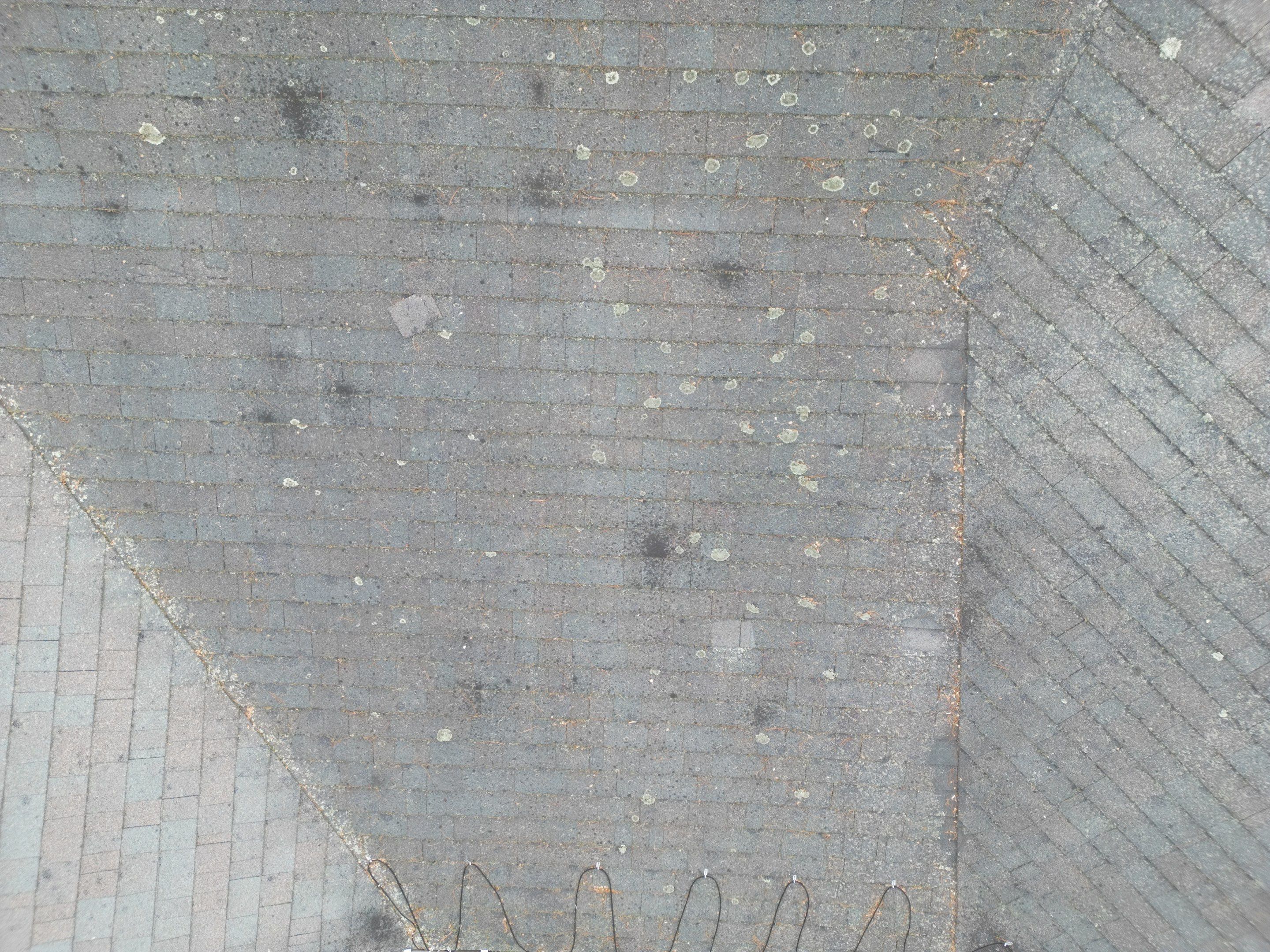 Asphalt Shingle Roof Replacement | Billerica, MA by Mighty Dog Roofing of Greater Middlesex County