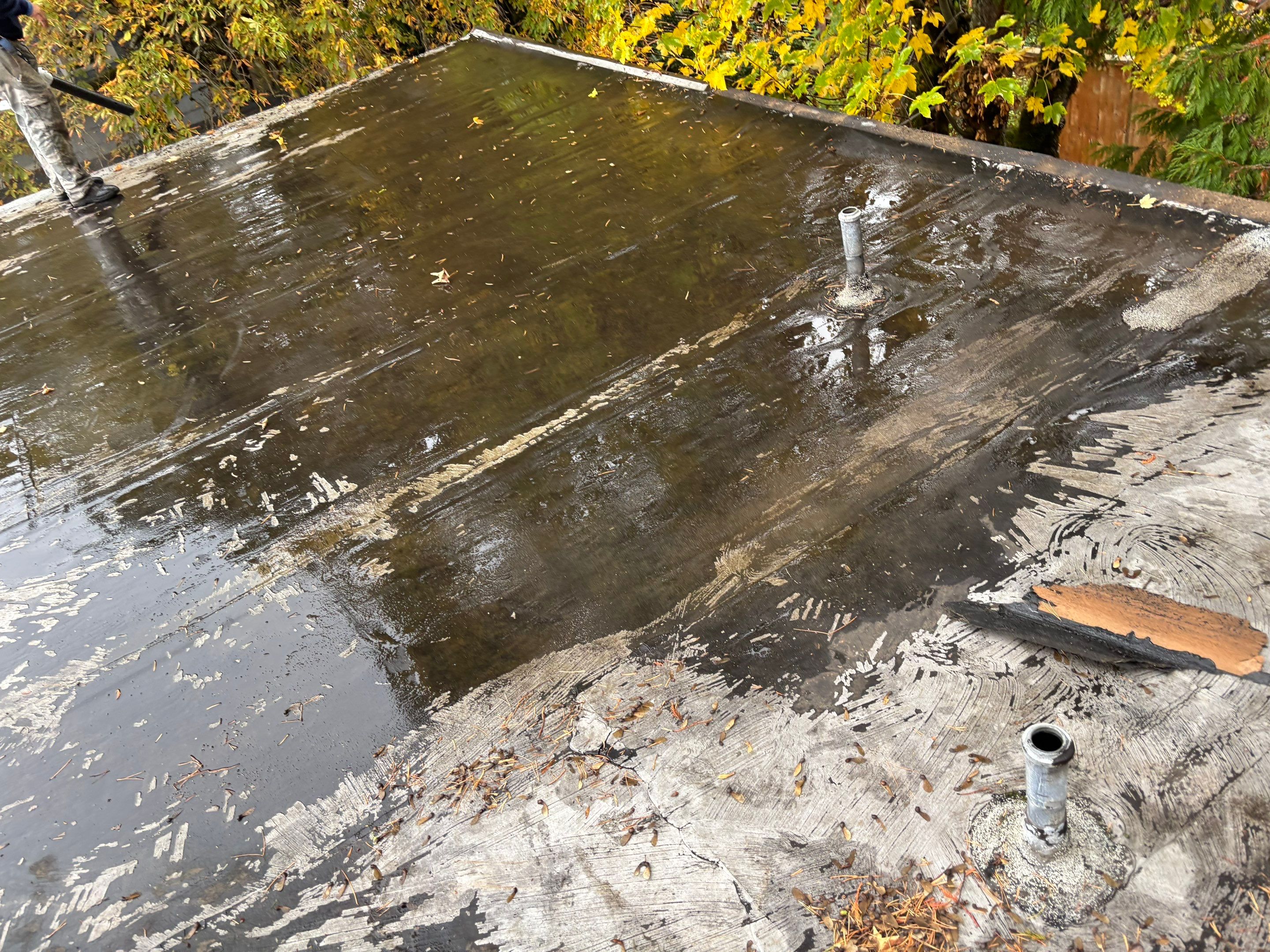 Project in Portland by Peak Exteriors LLC