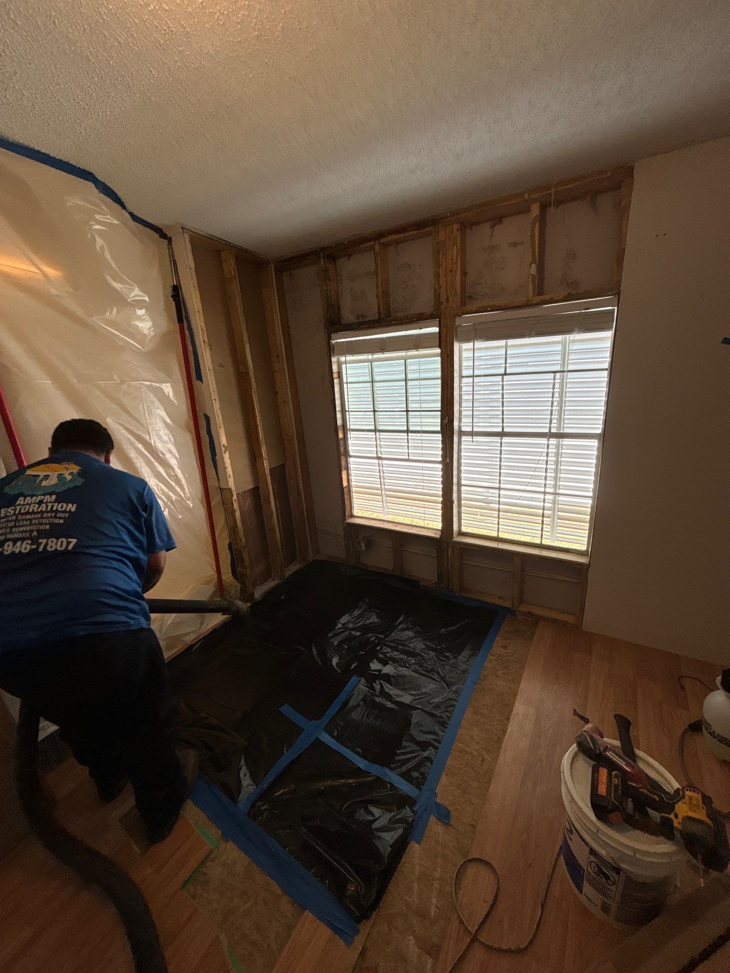 Mold Remediation Palmetto by Ampm Restoration Services 