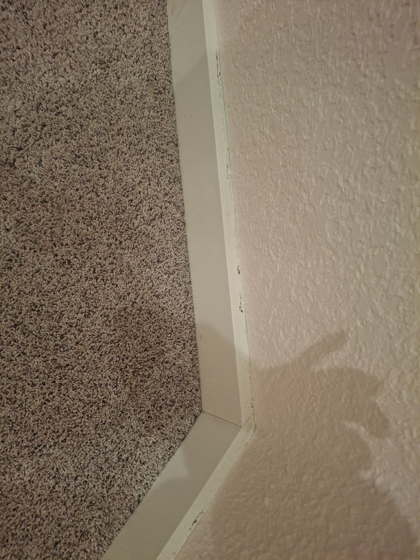 Interior Fresh in Tyler, TX by Quality Coats Painting