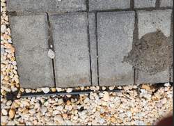 Gutter Cleaning in Mountain Lakes, NJ — Gallo Bros job photo
