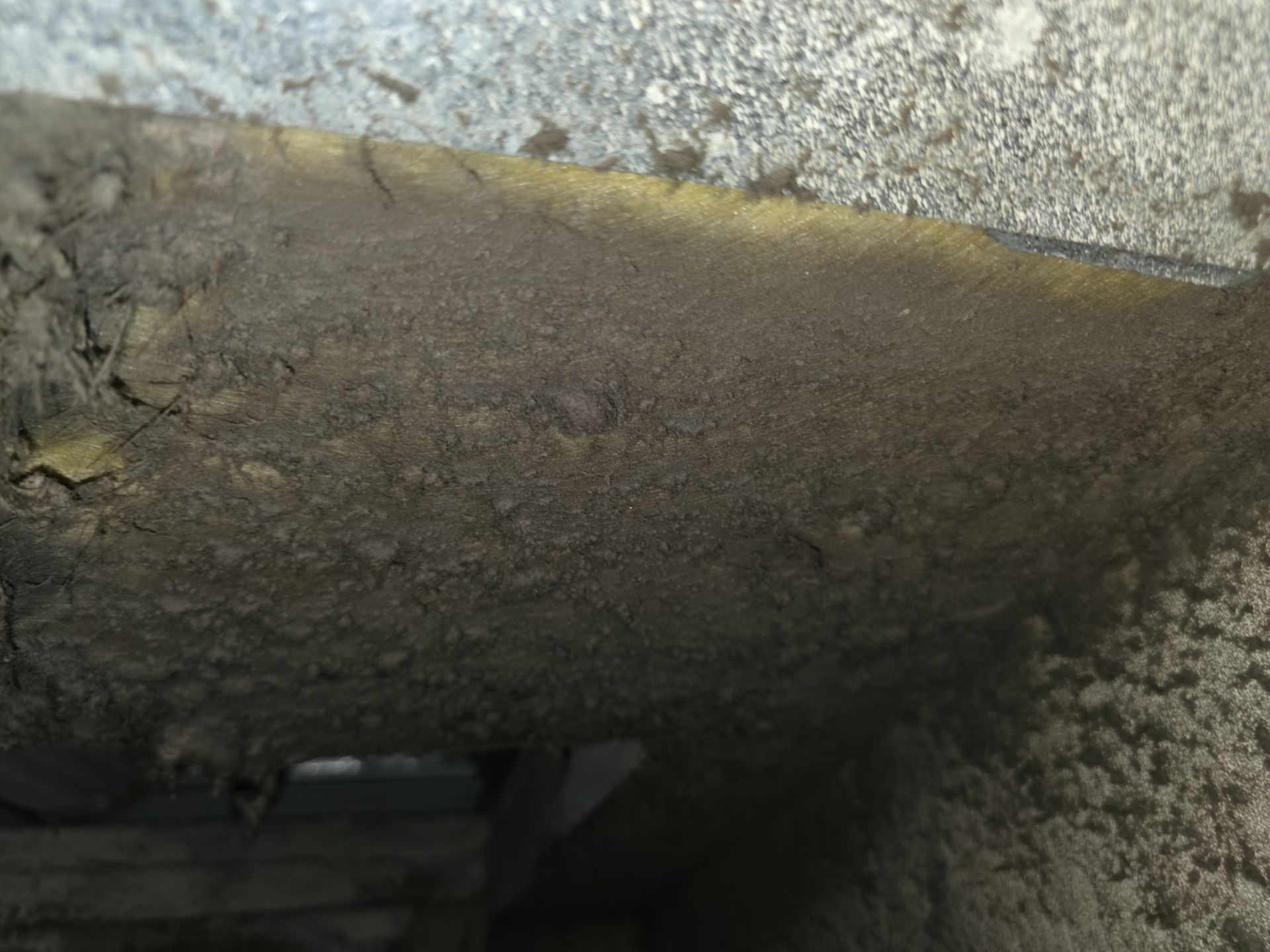 Duct Cleaning in Casselberry by Hygienic Air, Inc