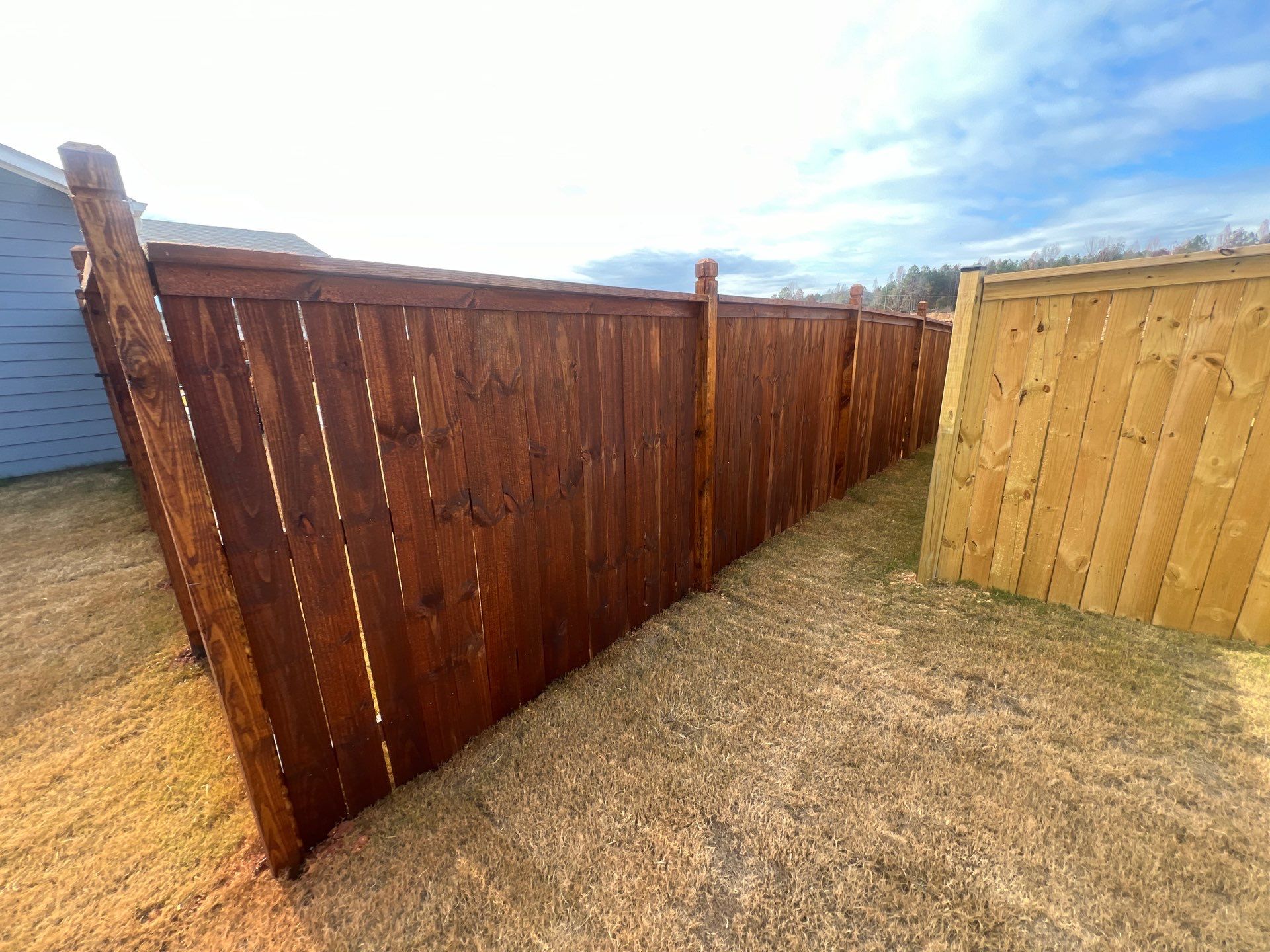 Fence Staining using Chestnut by SSE by Titans of Timber Fence & Stain