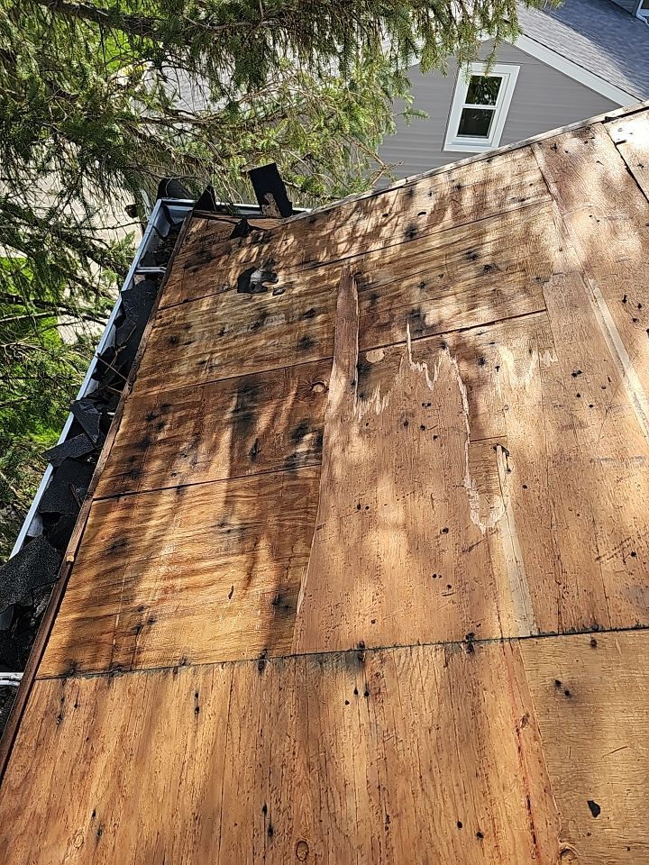 ATLAS PINNACLE COLOR: SUMMER STORM DRIP EDGE: WHITE by Eagle Eye Roofing