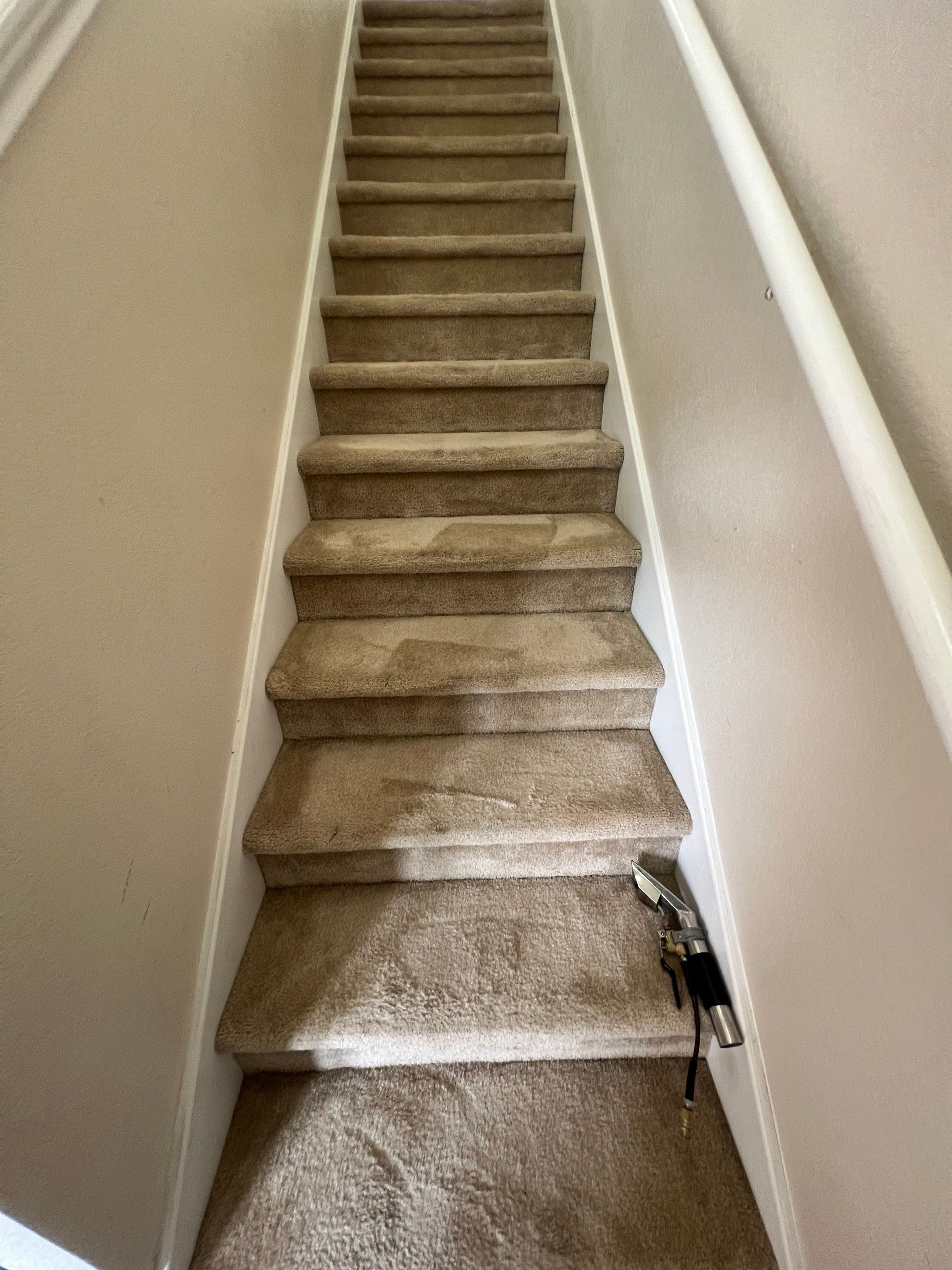 the service being done is professional carpet cleaning on the stairs using a specialized cleaning tool