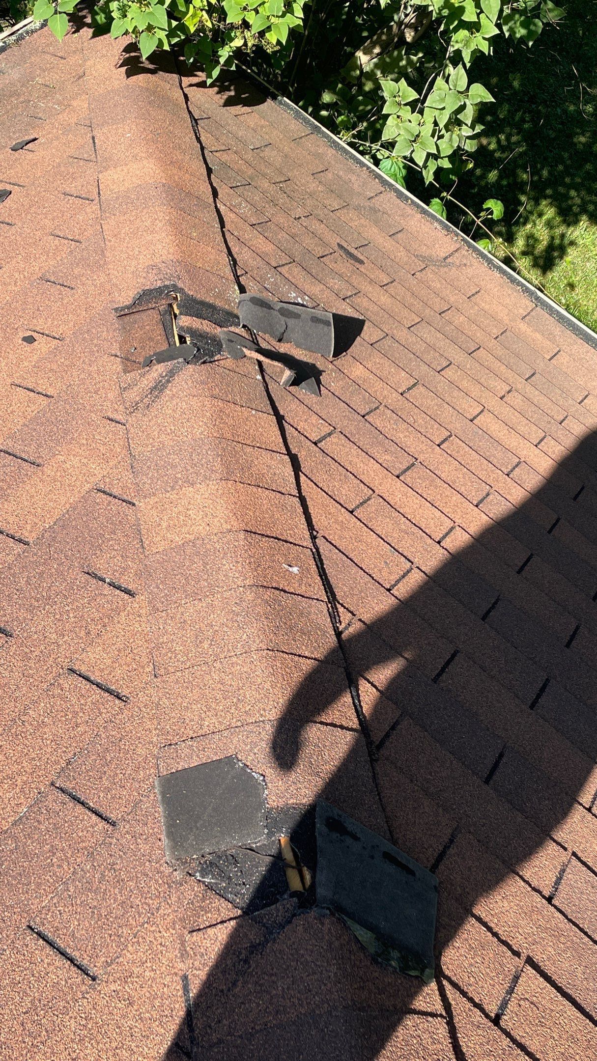 Roof Replacement using Owens Corning Summer Harvest by 180 Contractors