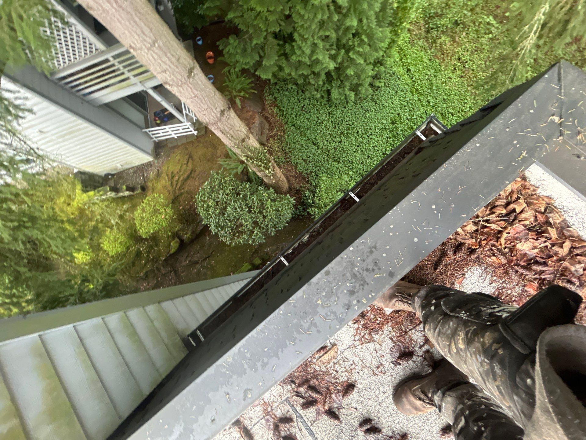 Project in Kirkland by Peaks and Valleys Construction