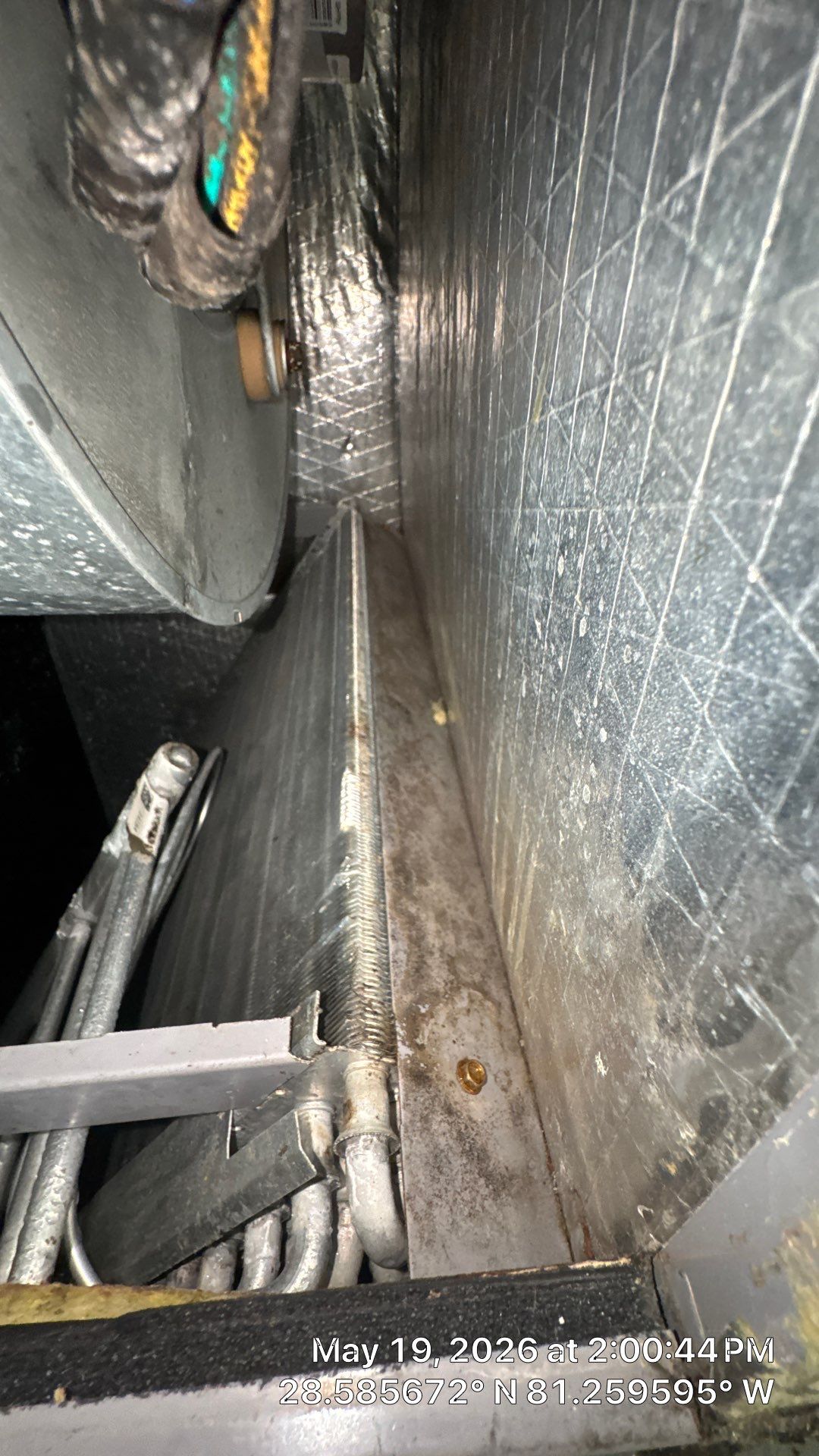 Air Duct Cleaning in Orlando by Hygienic Air, Inc