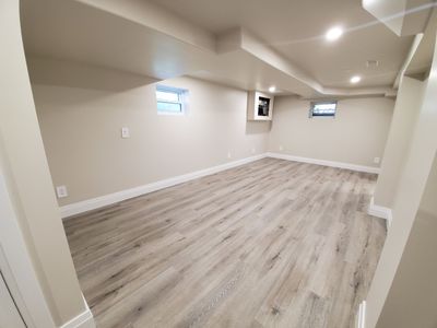 Basement Reno