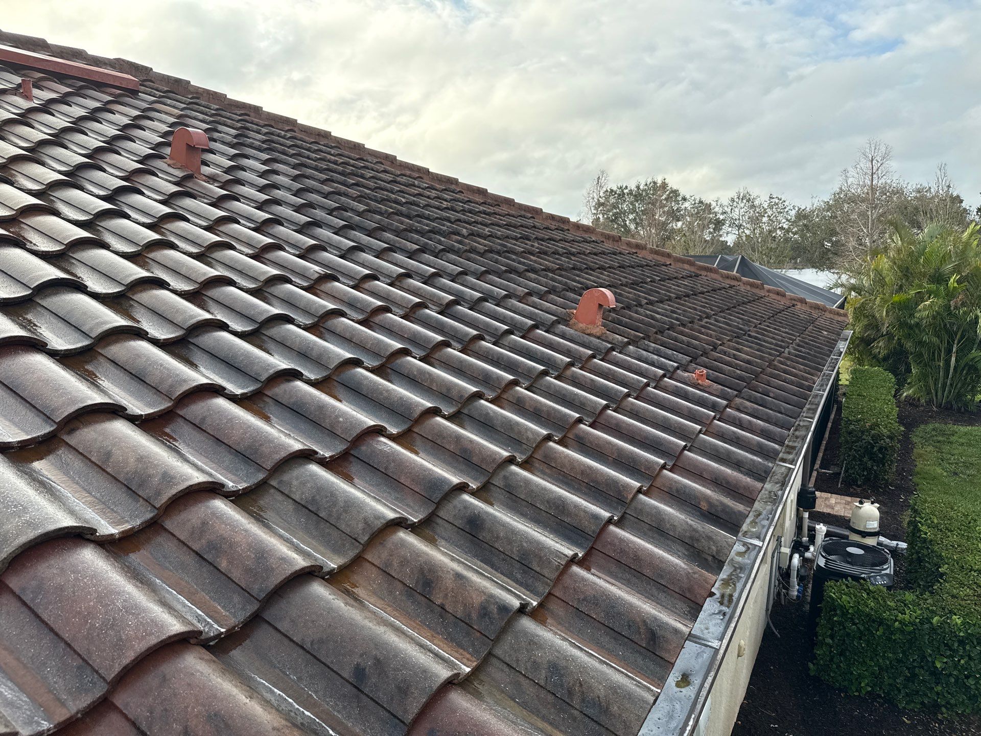 Paver Pool Deck, Driveway & Concrete Tile Roof Cleaning in River Strand, Bradenton, FL | Sunshine AquaWash by Sunshine AquaWash