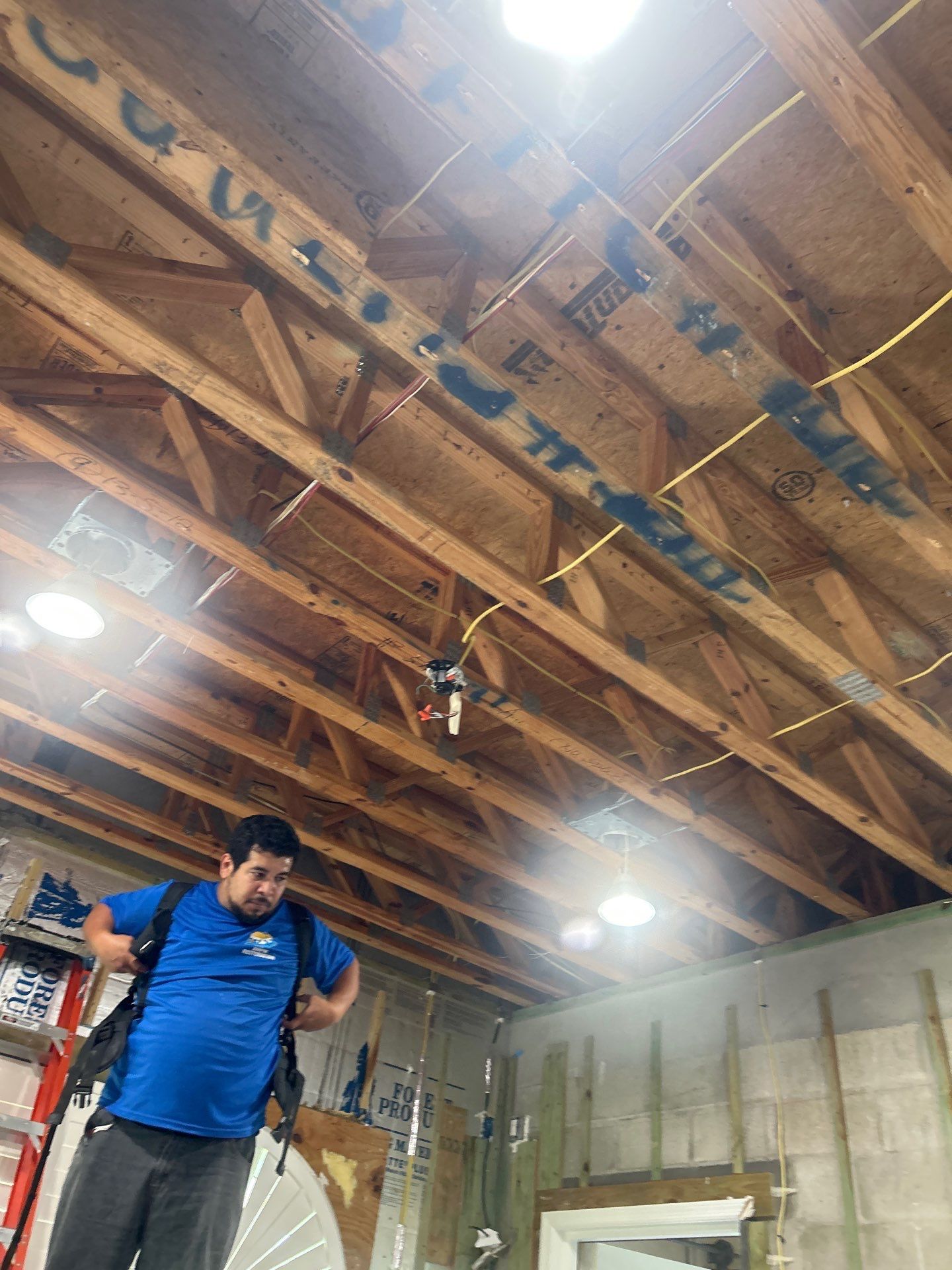 Mold Removal & Remediation In Sarasota by Ampm Restoration Services