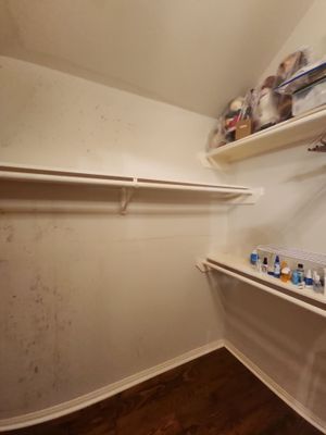 Project in Houston