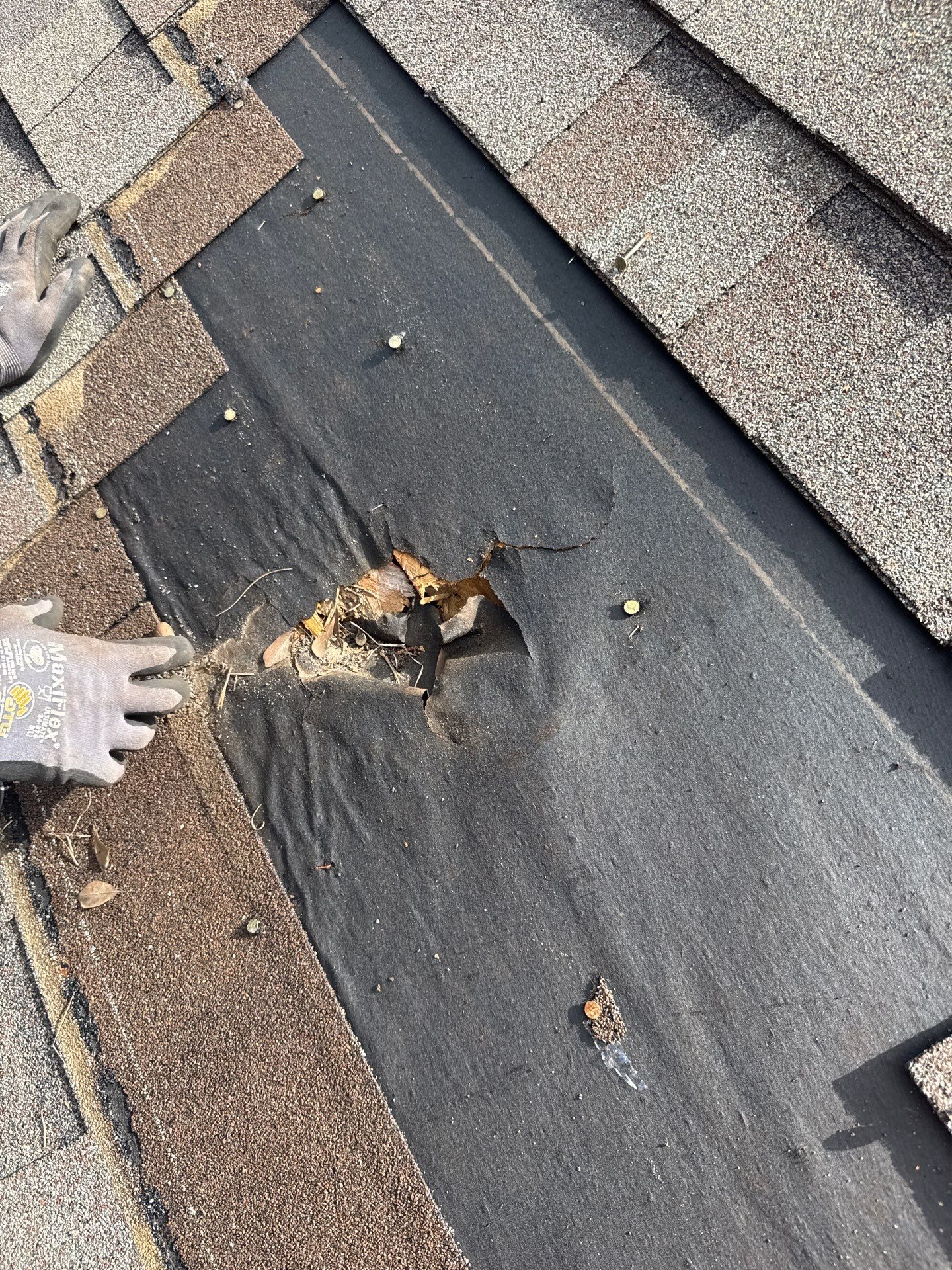 Roof Repair Grangerland by Roof Repair Company