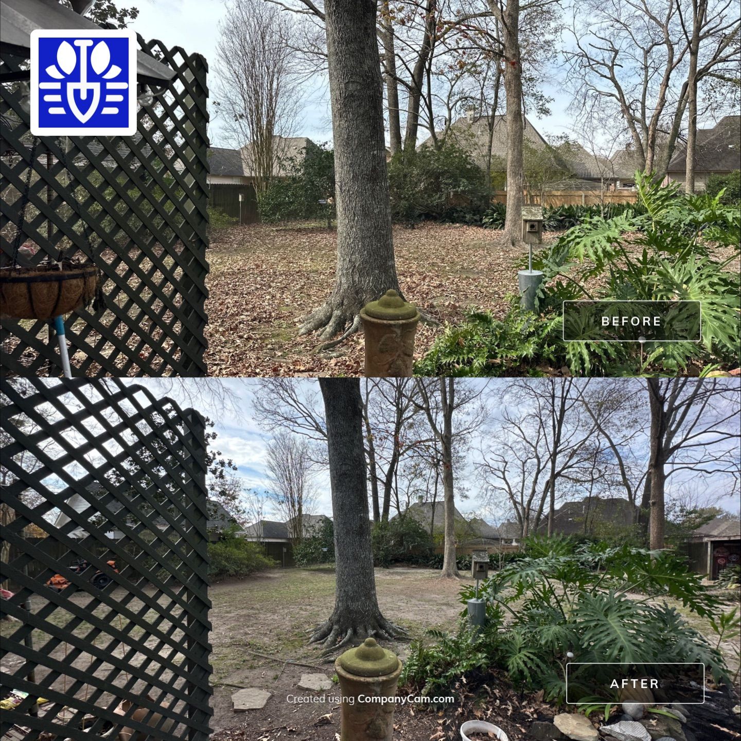 WINTER SERVICES: FULL LEAF JOB by CutScape, LLC.