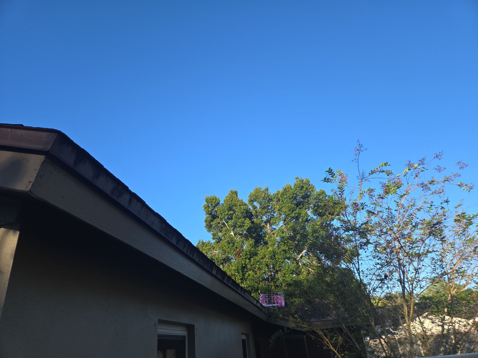 Project in Dunedin 34698 by Mitchell Roofing Company LLC