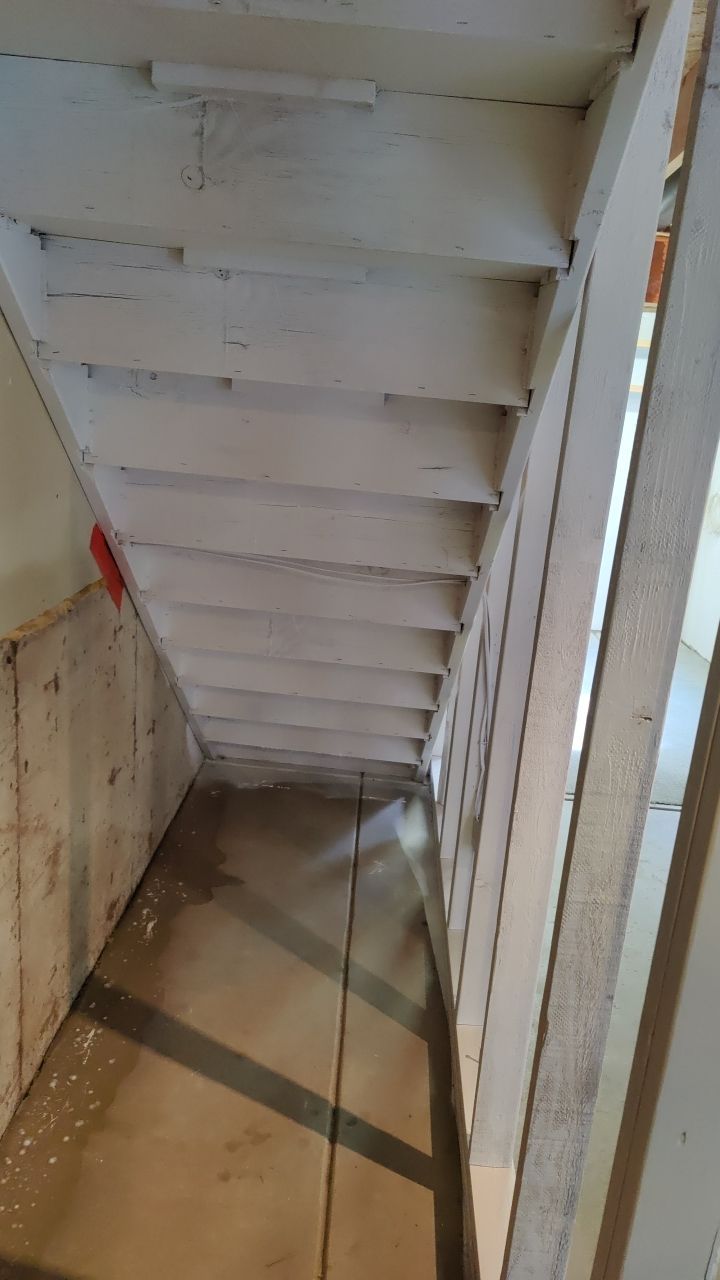 Mold Damage by Accountable Home Services