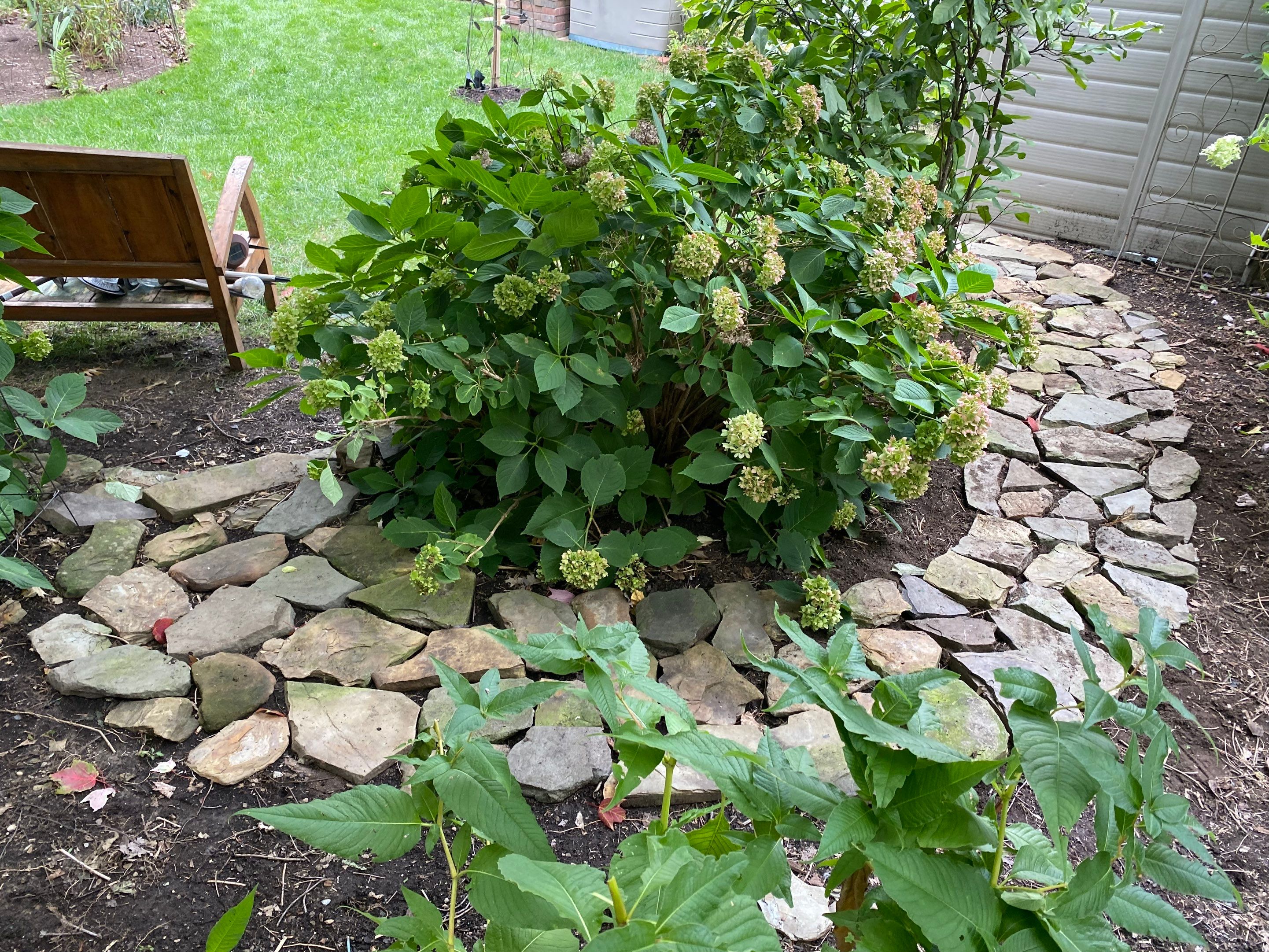 Woodland Island Project by Elm Rose Gardens