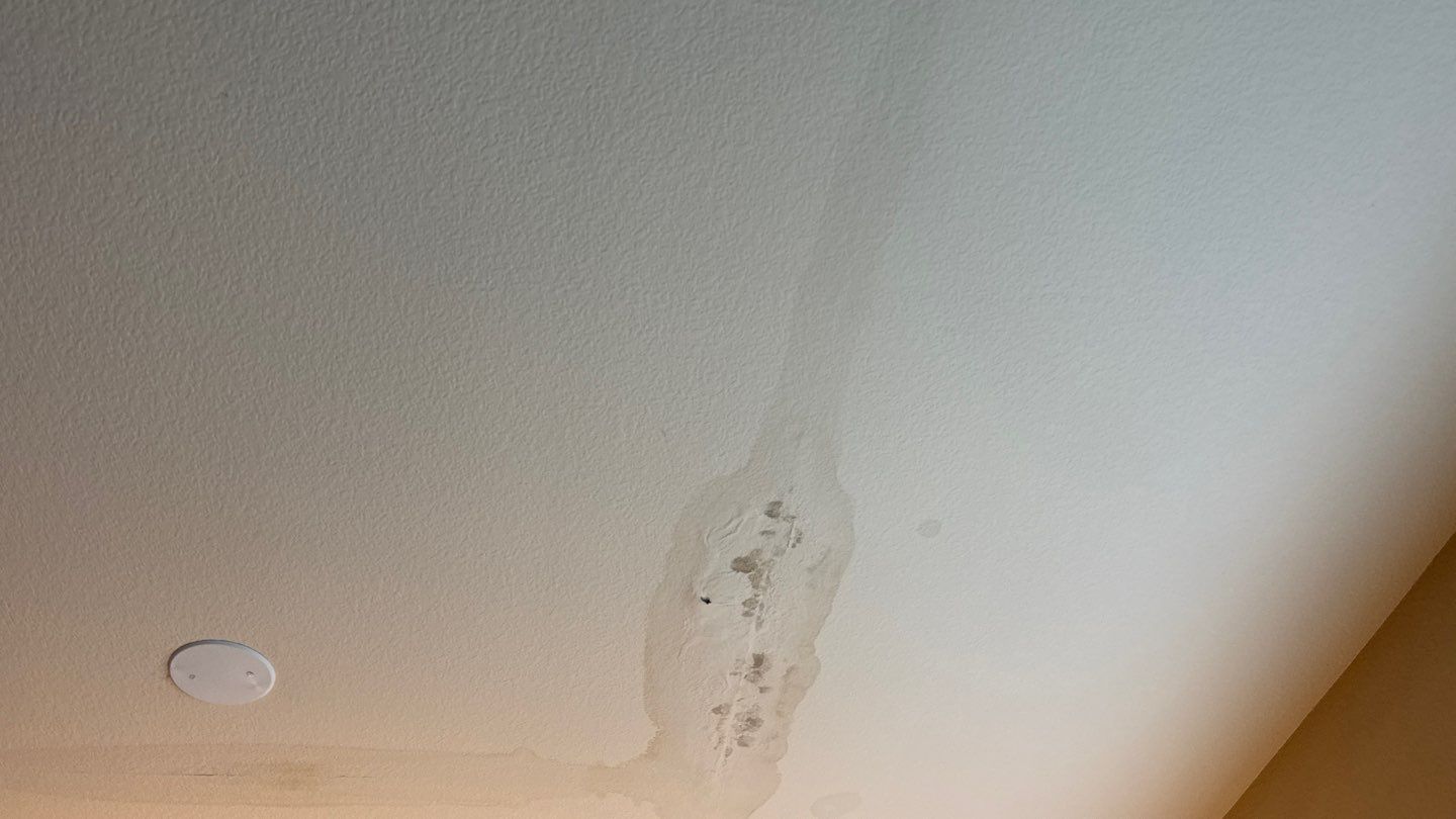 Project by NuLead Construction Inc by NuLead Construction Inc