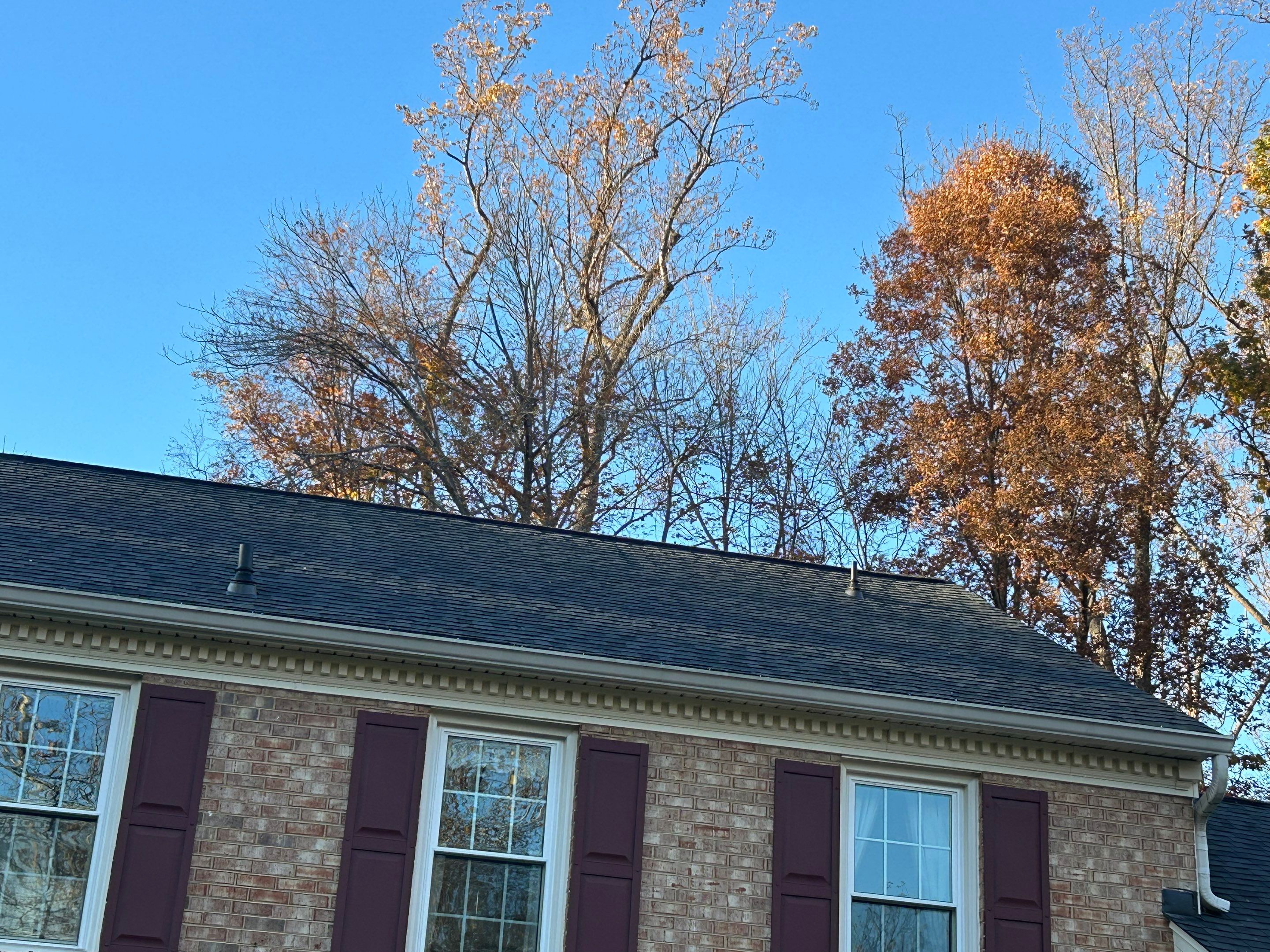 Alexandria :Residential Roof Replacement with CertainTeed Landmark Pro in Max Def Moire Black  by RM Banning, Inc.