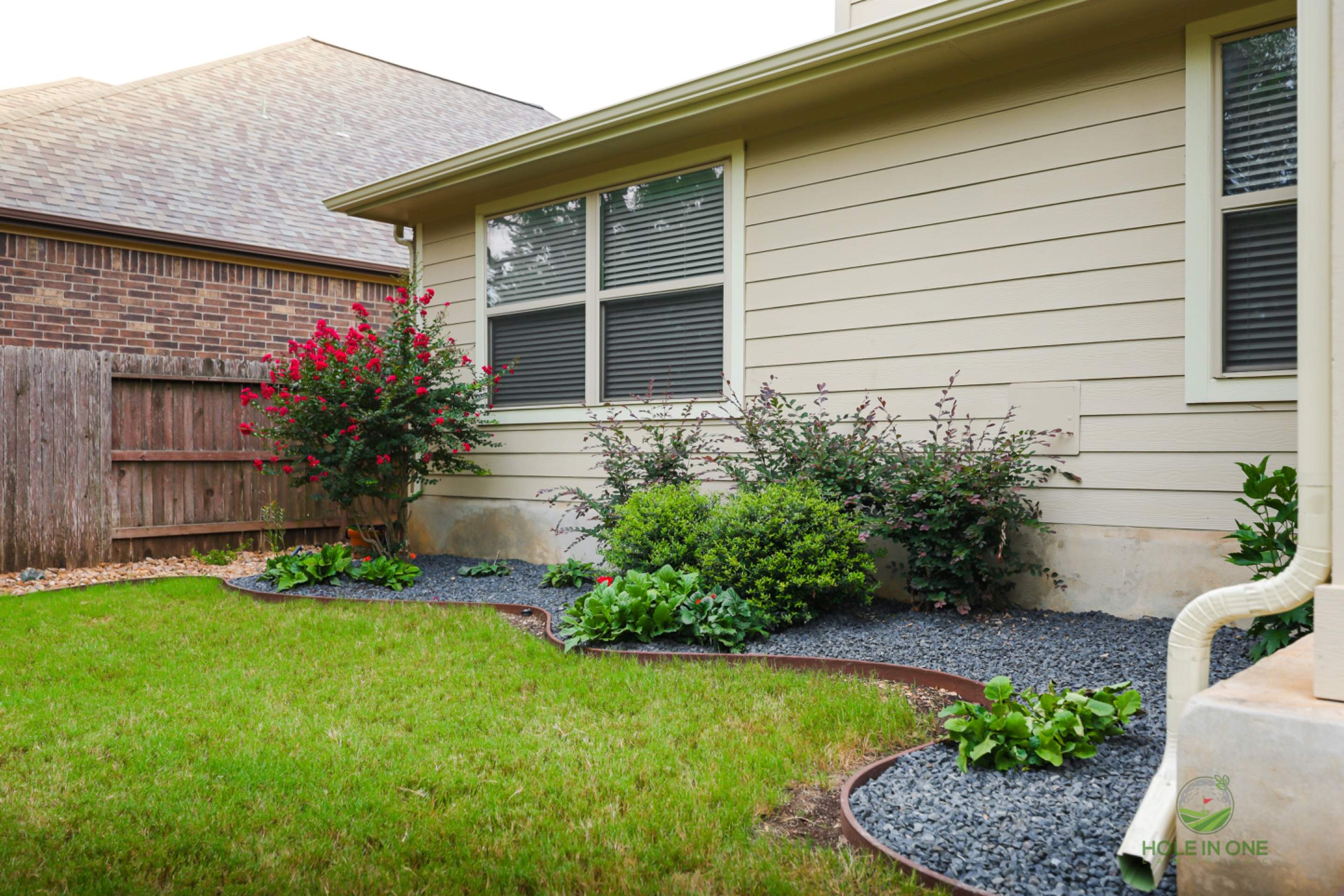 Wortham Oak, San Antonio Tx. by Hole In One Lawns, LLC