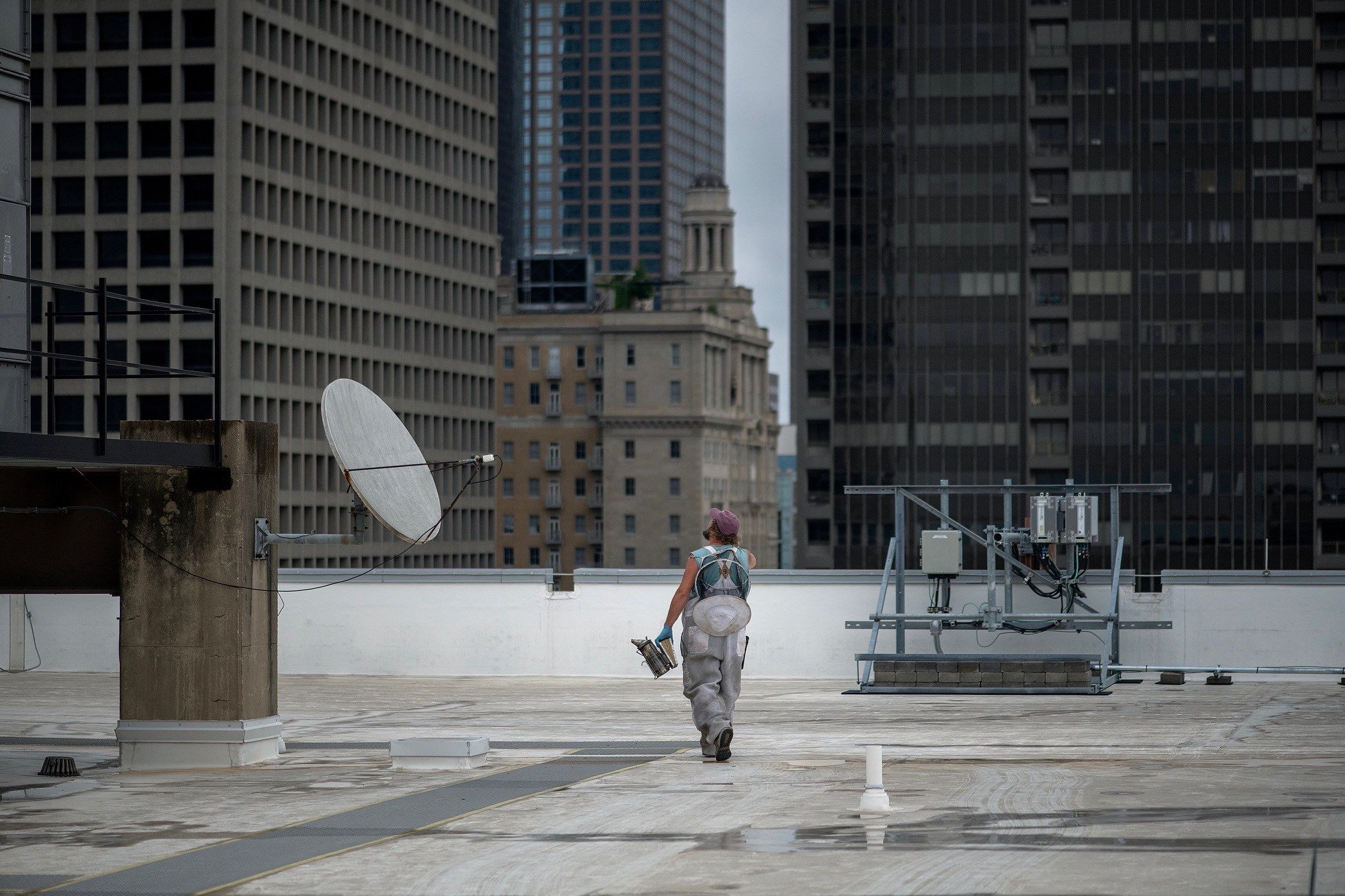 Urban Beekeeping in Dallas by Rockwall Honey Bee Company