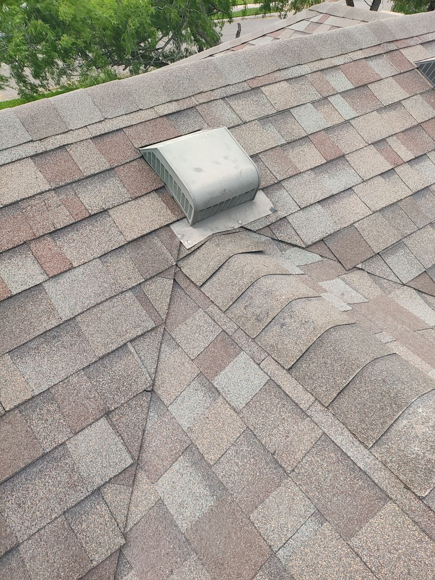 Patio Cathedral by Bayfront Roofing and Construction