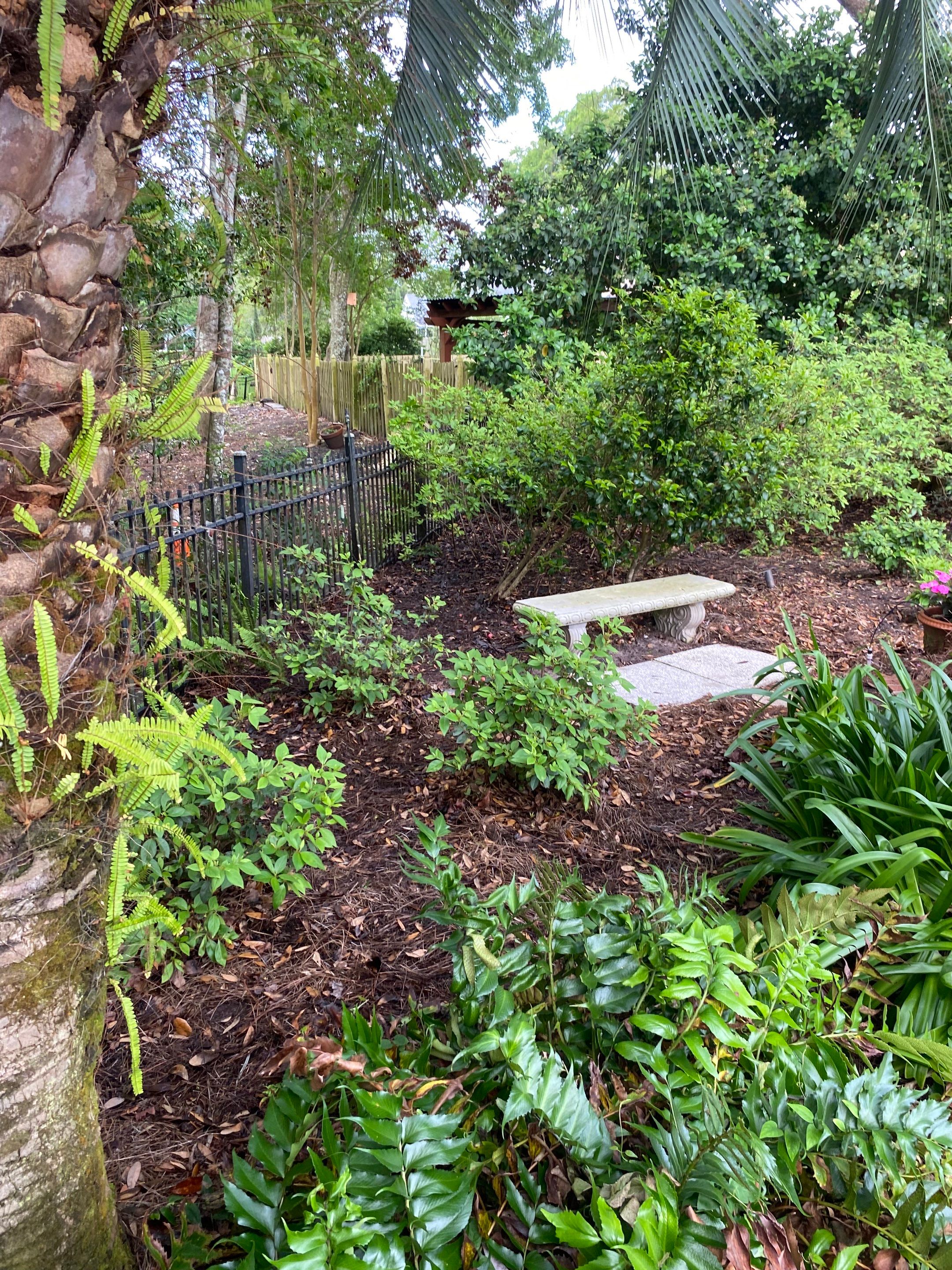 Deerwood Resident | Pine Straw Installation by ProGreen Services
