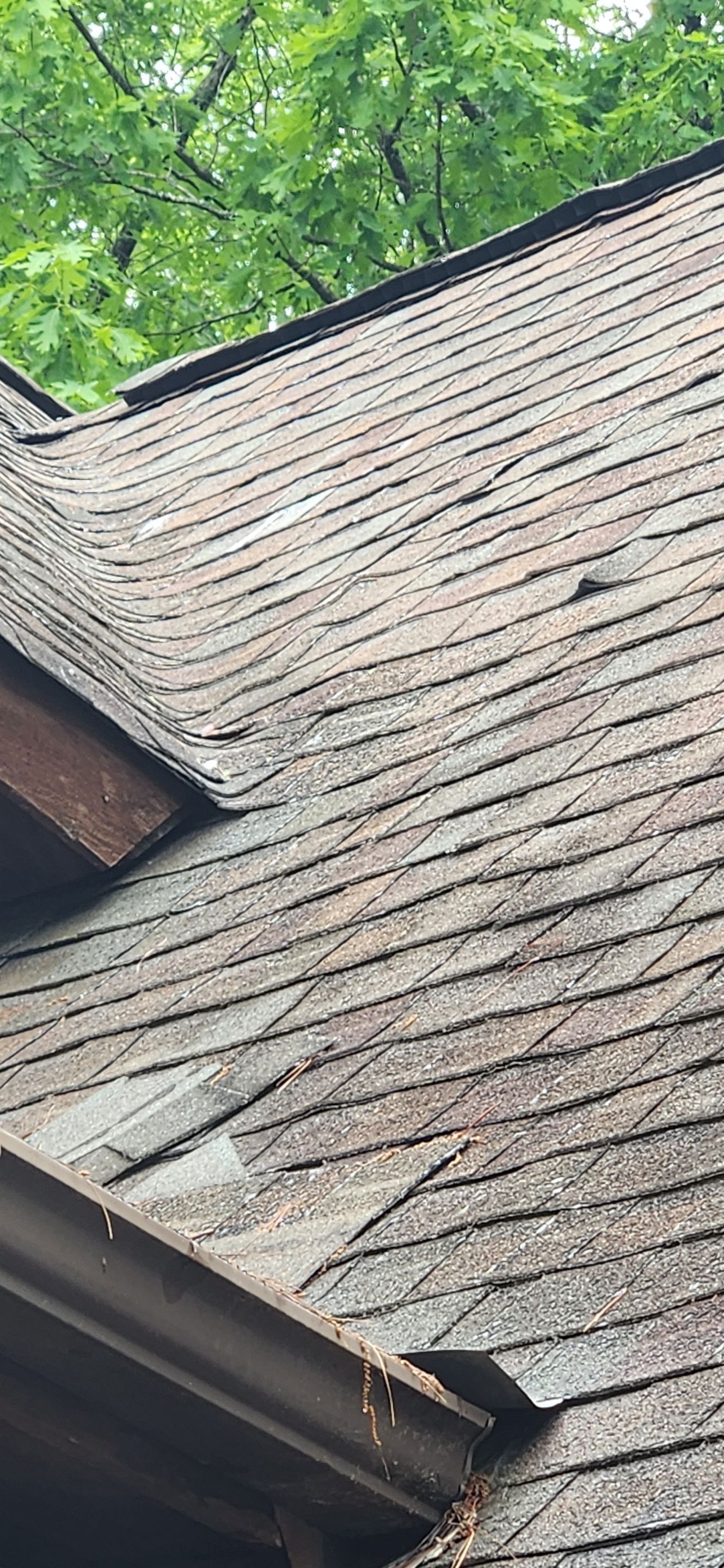 Residential Reroof: 40 Year Impact Rated Architectural Shingles by Hostetler Roofing