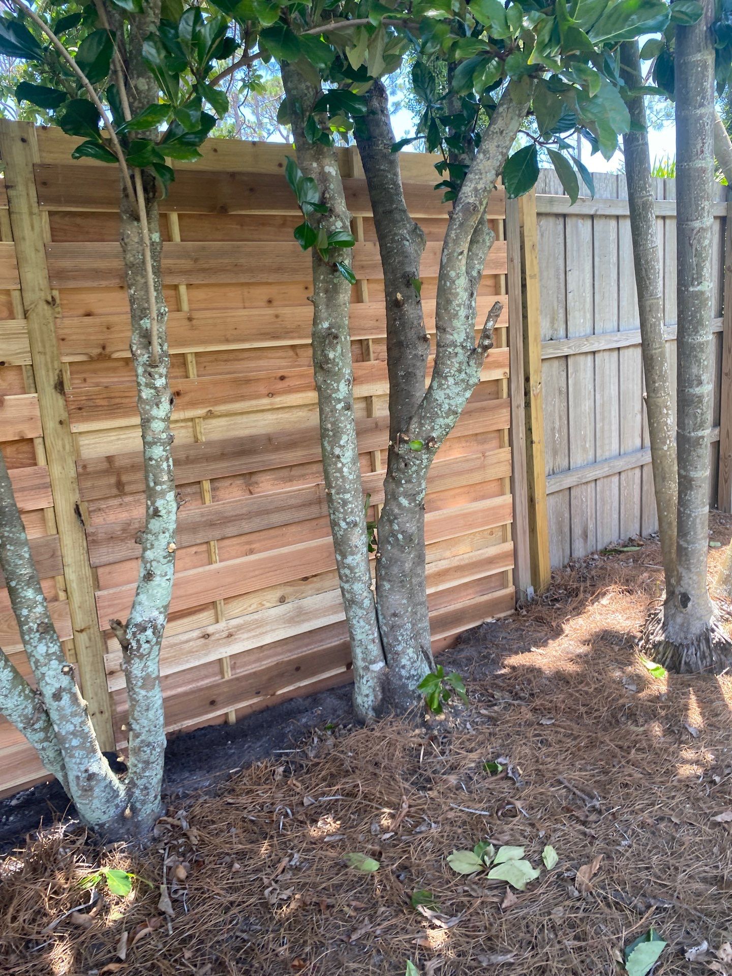 1657 Bayshore Dr  by H&Y Fence