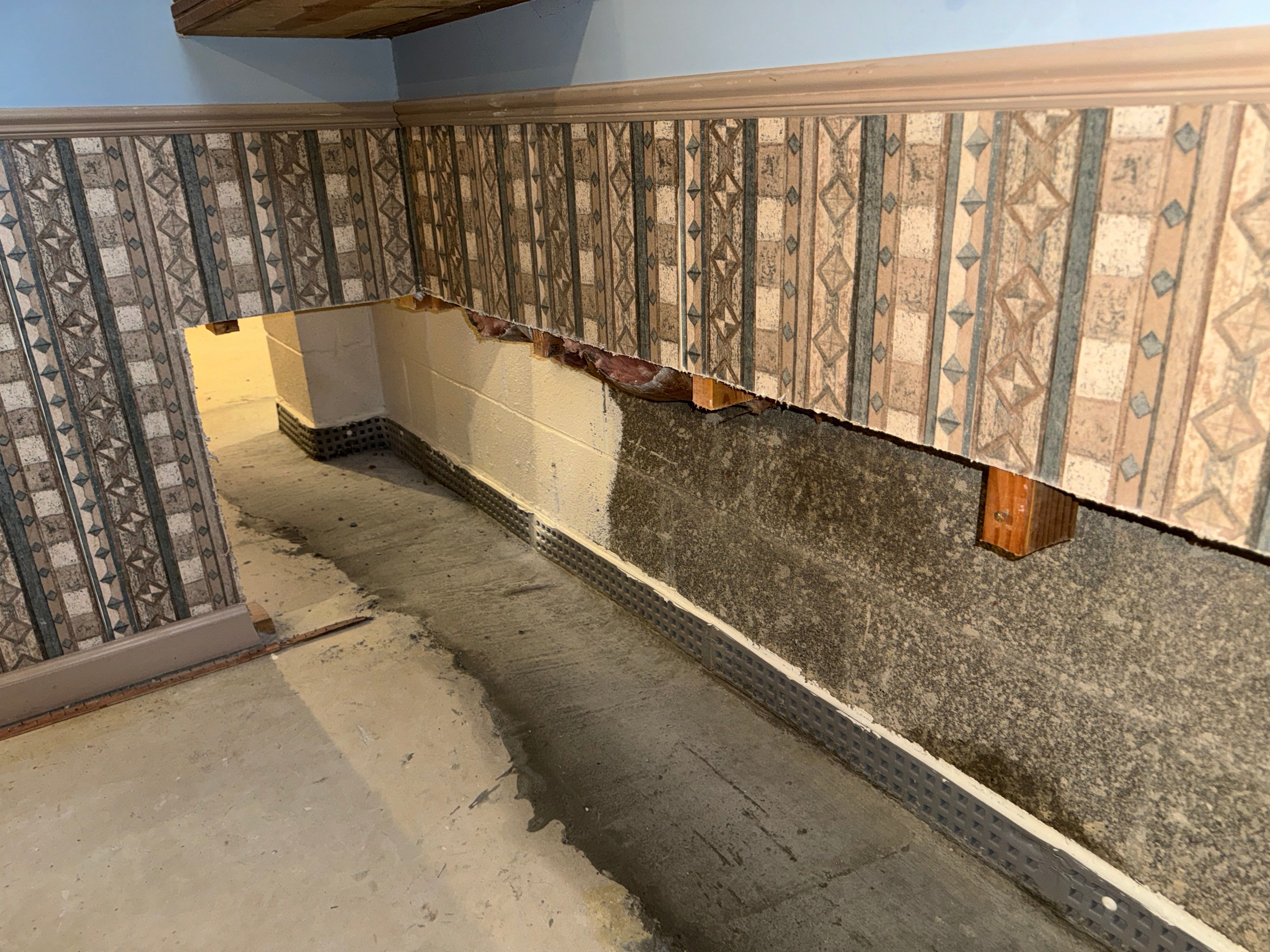 Interior French Drain With Radon Seal & Mold Remediation in Wall Township by Pure Service Pro, LLC 