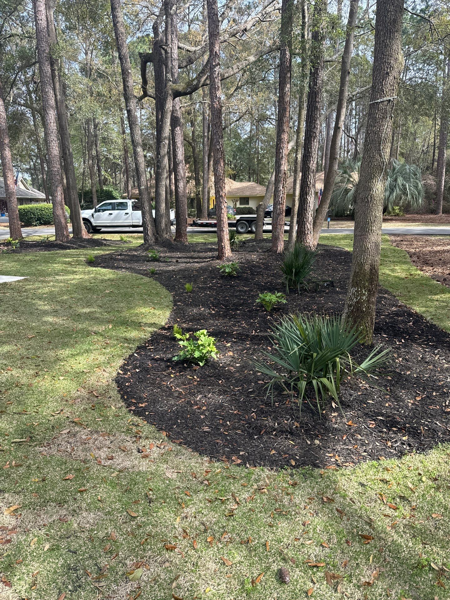 Hilton Head Island Paver Patio and Full Landscape Installation by Lowcountry Scapes, LLC
