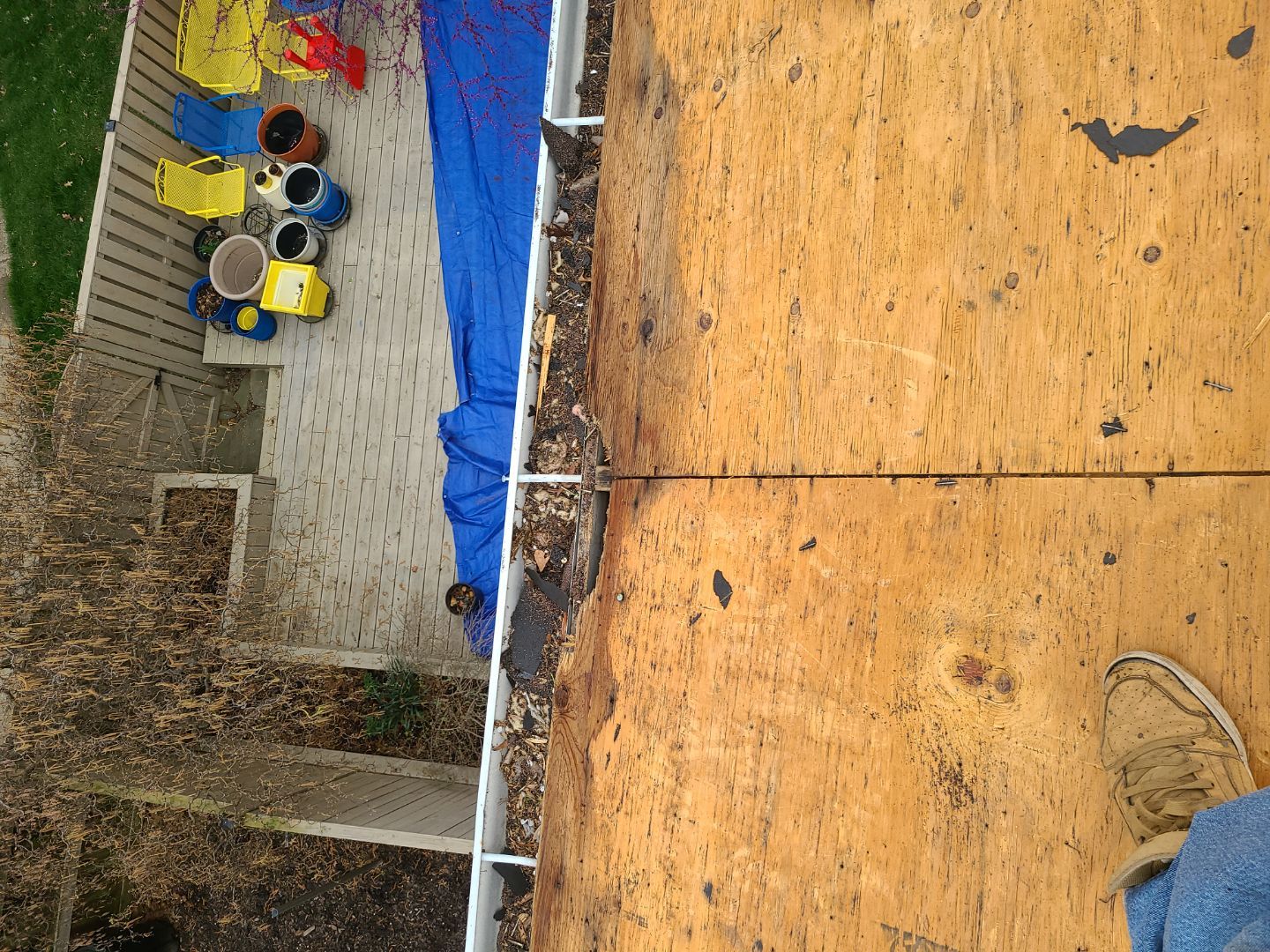 Springfield: Residential Roof Replacement with CertainTeed Landmark Pro in Max Def Red Oak by RM Banning, Inc.