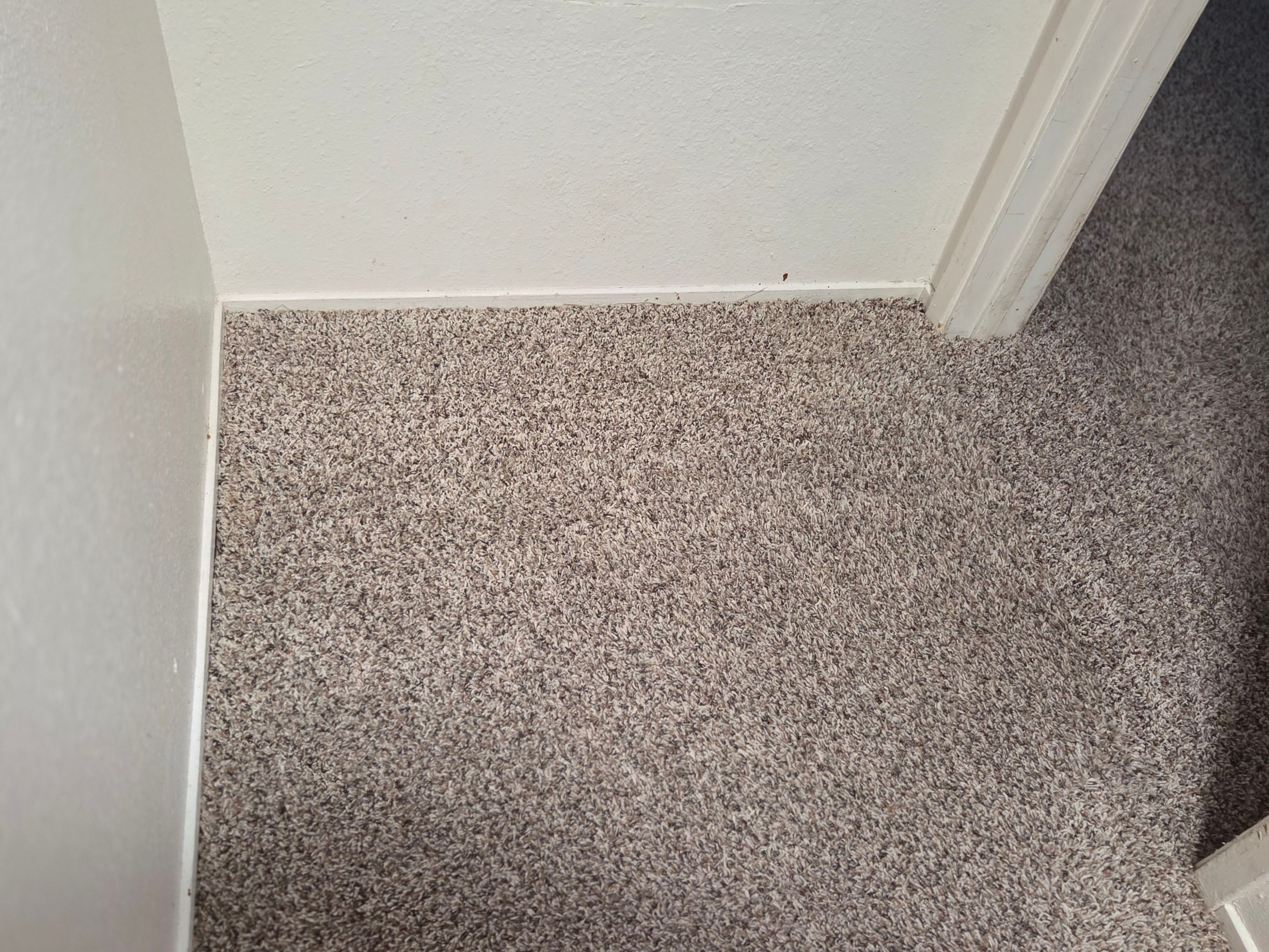 Move-Out Carpet Repairs & Carpet Cleaning by Ardent Carpet Restore LLC